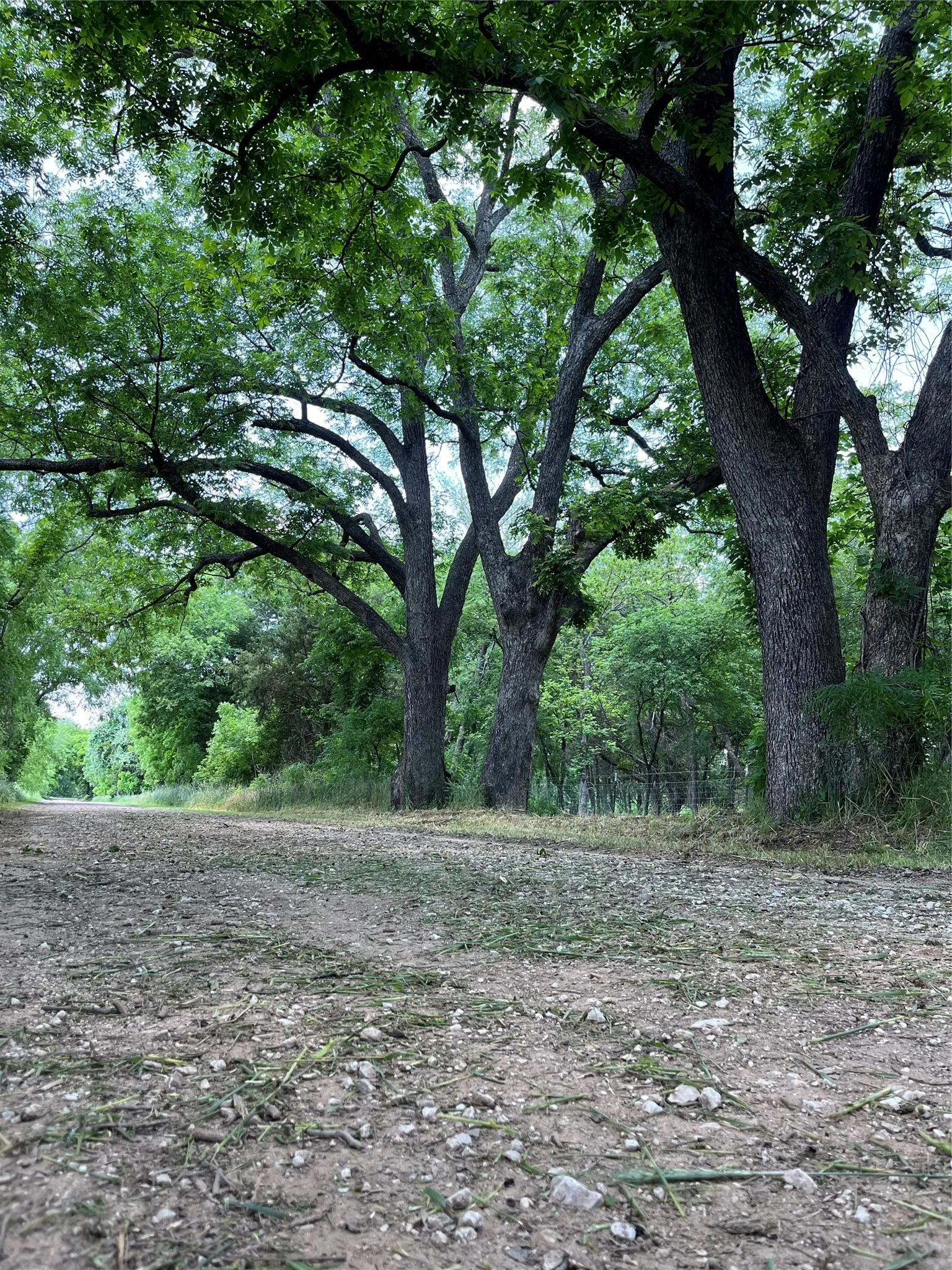 Single Family Residence For Sale in Cooke County , 9439 County Road 103, Whitesboro, Texas 76273, 2 Bedroom, 2 Bathroom, Garage spaces, 1,680 Sqft, built in 2023, Price $820,000, mls#21254692, Real Estate Agent in Whitesboro, Homes For Sale in Cooke county, Homes For Sale in Whitesboro, Realtor in Whitesboro Texas, Real Estate Brokerage Independent Realty Texas, Luminita Cordes Realtor