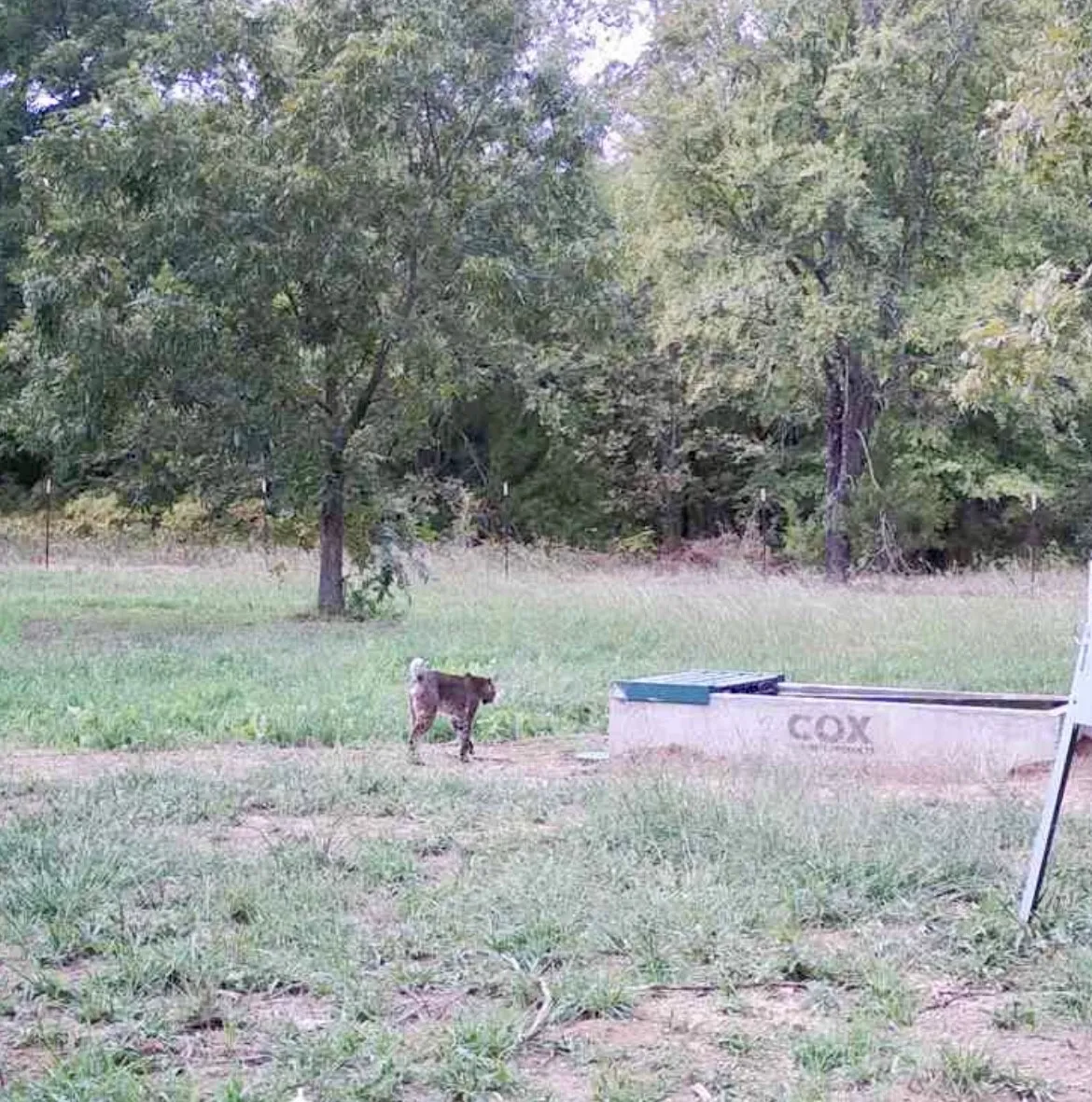 Single Family Residence For Sale in Cooke County , 9439 County Road 103, Whitesboro, Texas 76273, 2 Bedroom, 2 Bathroom, Garage spaces, 1,680 Sqft, built in 2023, Price $820,000, mls#21254692, Real Estate Agent in Whitesboro, Homes For Sale in Cooke county, Homes For Sale in Whitesboro, Realtor in Whitesboro Texas, Real Estate Brokerage Independent Realty Texas, Luminita Cordes Realtor