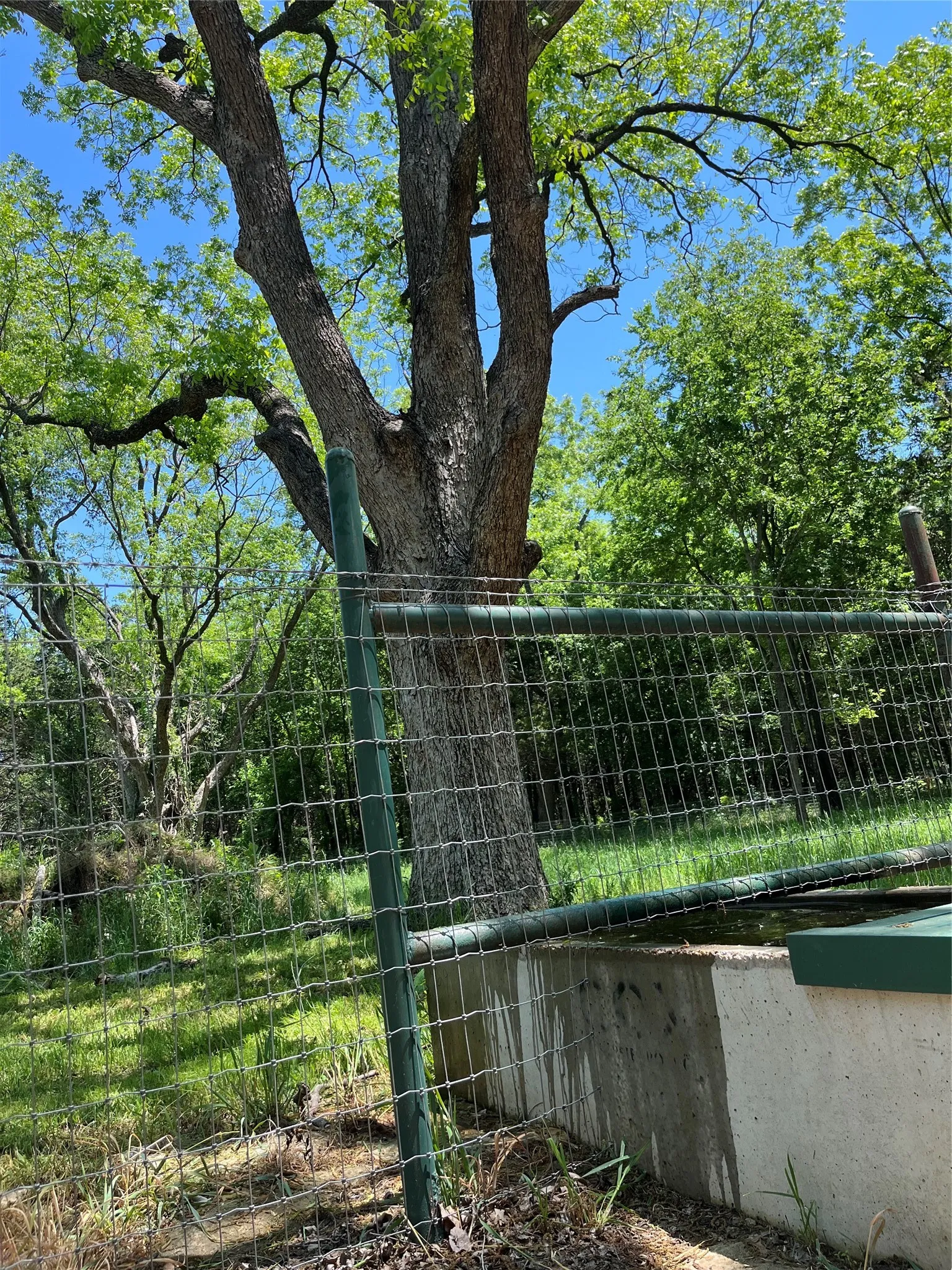 Single Family Residence For Sale in Cooke County , 9439 County Road 103, Whitesboro, Texas 76273, 2 Bedroom, 2 Bathroom, Garage spaces, 1,680 Sqft, built in 2023, Price $820,000, mls#21254692, Real Estate Agent in Whitesboro, Homes For Sale in Cooke county, Homes For Sale in Whitesboro, Realtor in Whitesboro Texas, Real Estate Brokerage Independent Realty Texas, Luminita Cordes Realtor