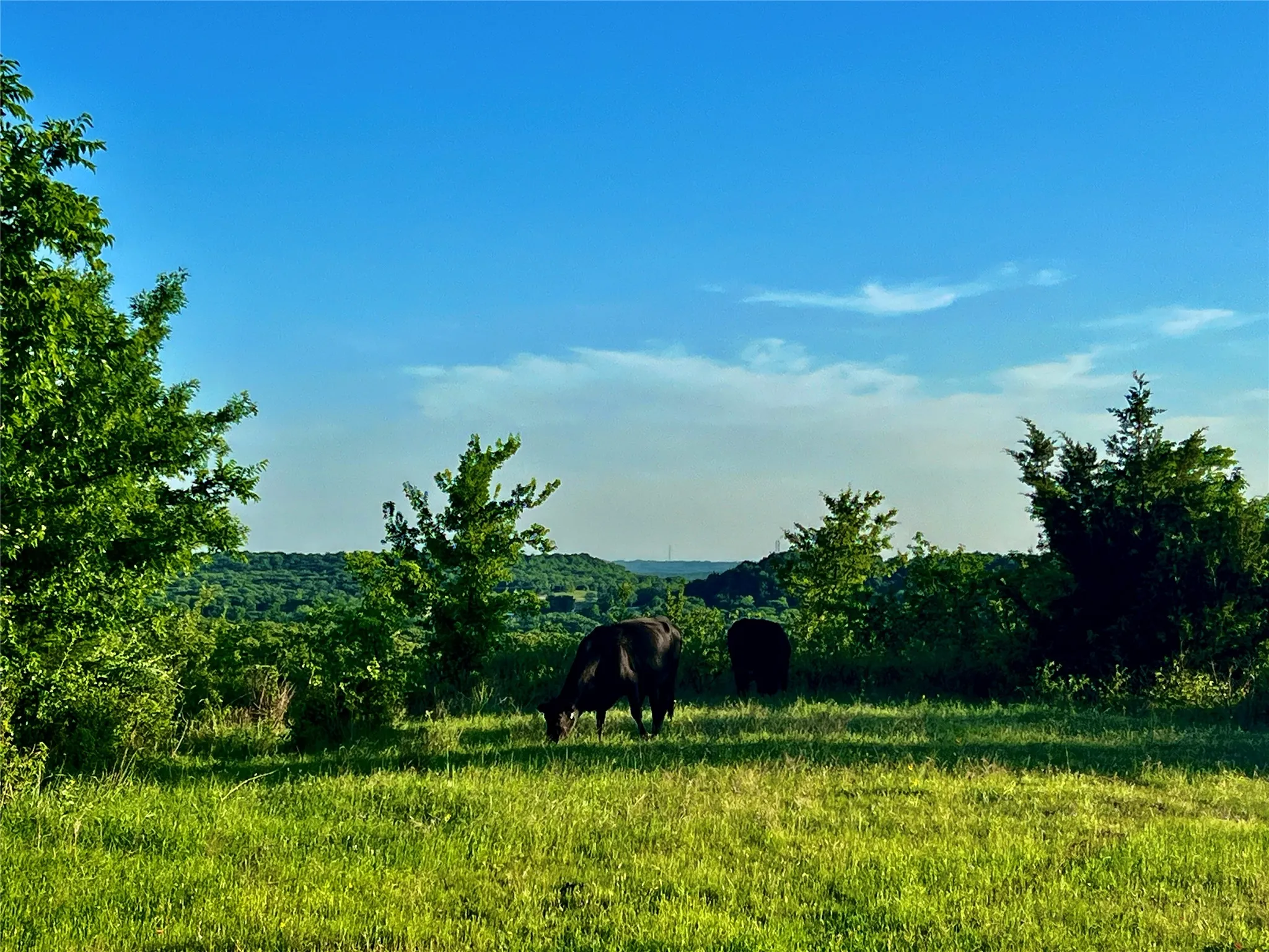 Ranch For Sale in Montague County , 0000 FM 3206, St Jo, Texas 76265, 0, 0, Garage spaces, 0 Sqft, built in 0, mls#21257390, Real Estate Agent in St Jo, Homes For Sale in Montague county, Homes For Sale in St Jo, Realtor in St Jo Texas, Real Estate Brokerage Independent Realty Texas, Luminita Cordes Realtor