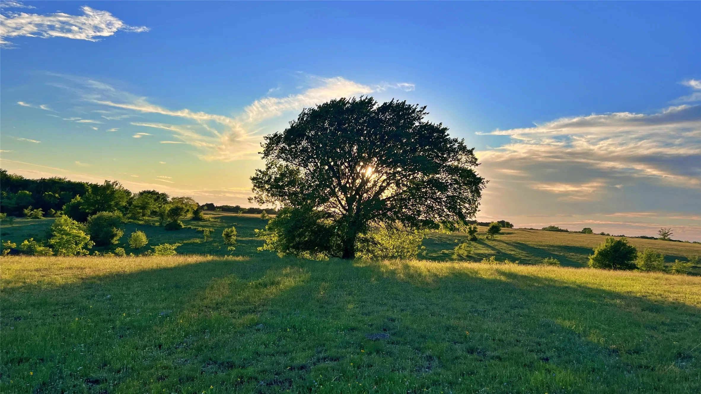 Ranch For Sale in Montague County , 0000 FM 3206, St Jo, Texas 76265, 0, 0, Garage spaces, 0 Sqft, built in 0, mls#21257390, Real Estate Agent in St Jo, Homes For Sale in Montague county, Homes For Sale in St Jo, Realtor in St Jo Texas, Real Estate Brokerage Independent Realty Texas, Luminita Cordes Realtor