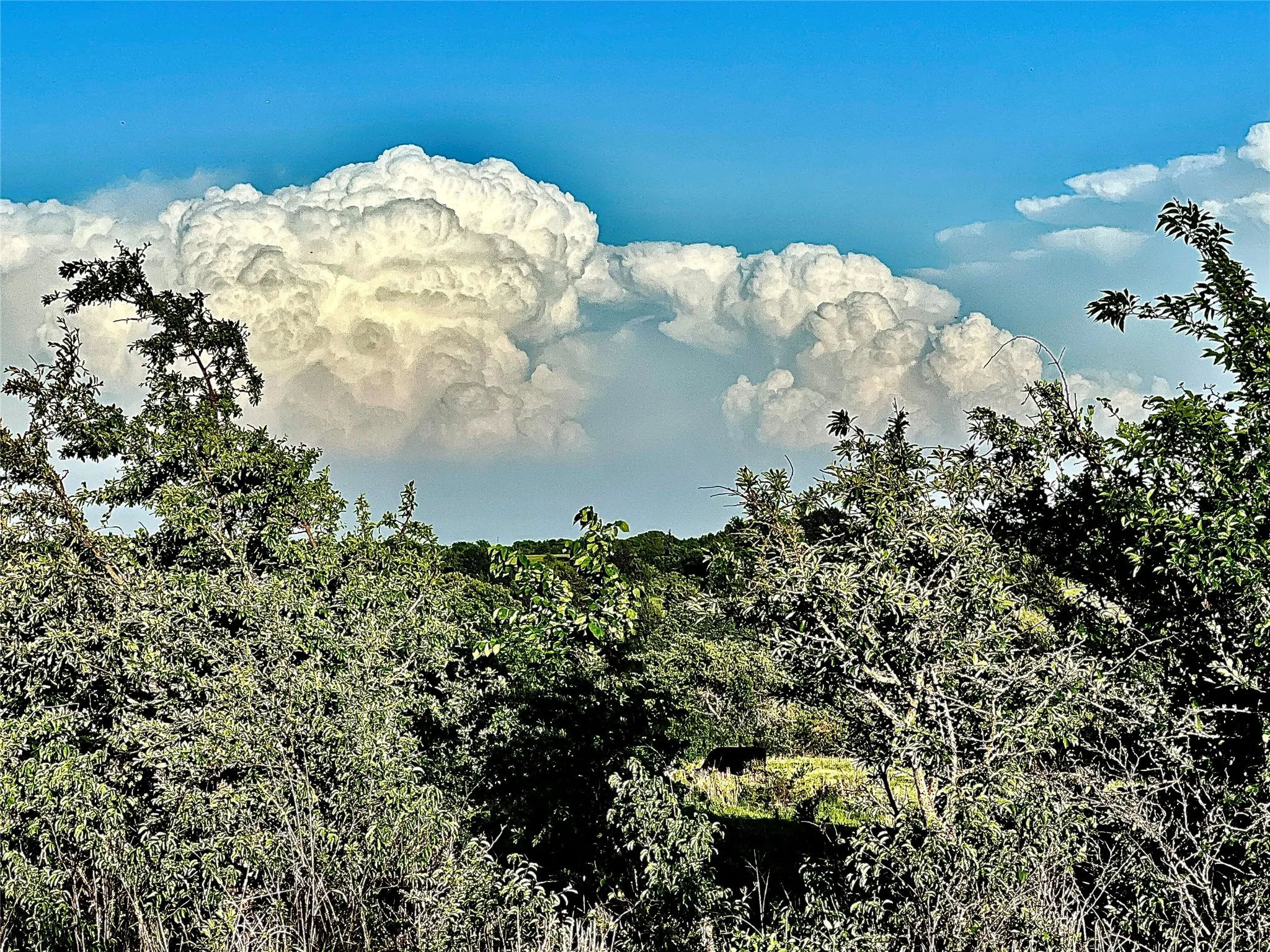 Ranch For Sale in Montague County , 0000 FM 3206, St Jo, Texas 76265, 0, 0, Garage spaces, 0 Sqft, built in 0, mls#21257390, Real Estate Agent in St Jo, Homes For Sale in Montague county, Homes For Sale in St Jo, Realtor in St Jo Texas, Real Estate Brokerage Independent Realty Texas, Luminita Cordes Realtor