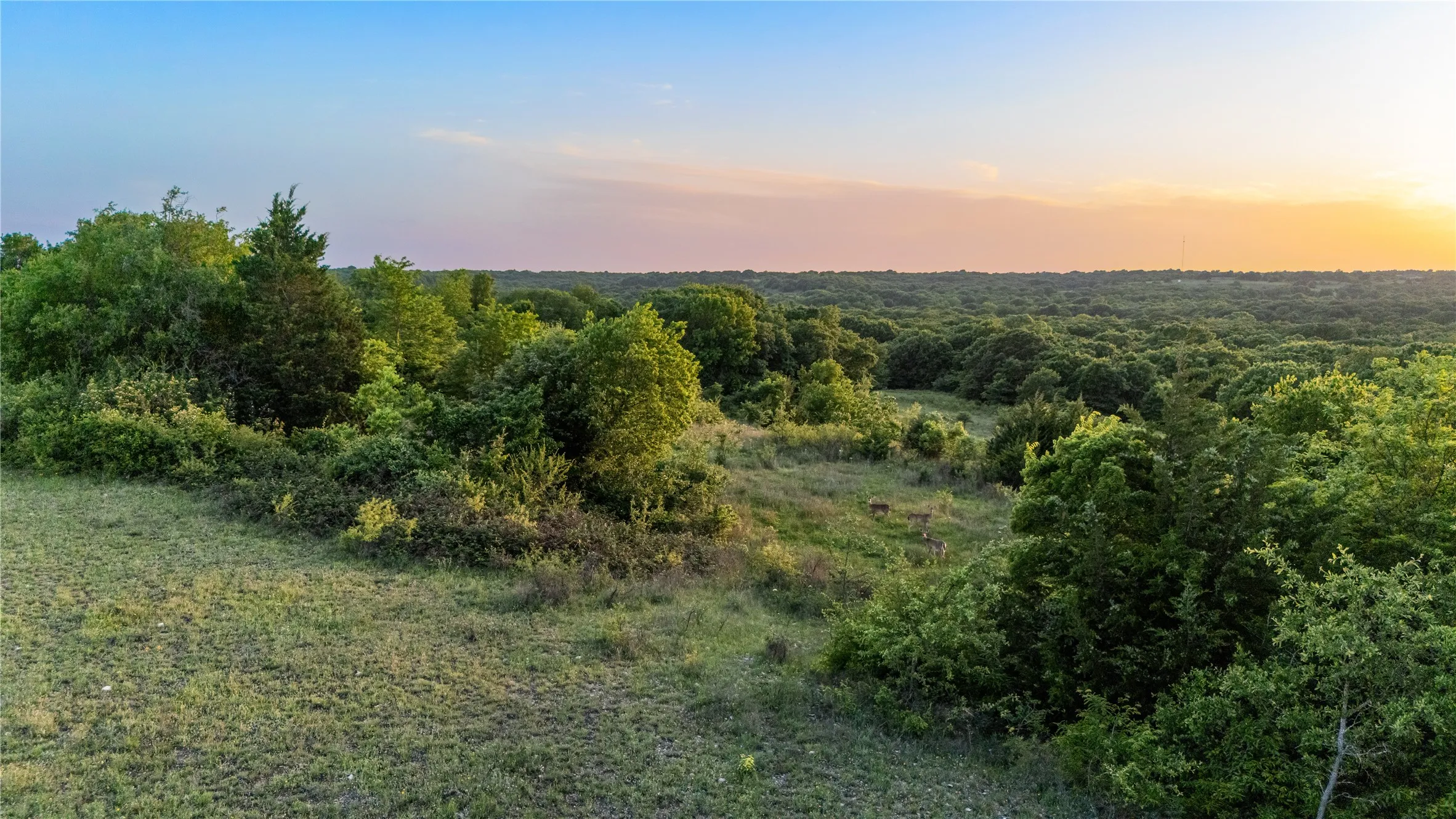 Ranch For Sale in Montague County , 0000 FM 3206, St Jo, Texas 76265, 0, 0, Garage spaces, 0 Sqft, built in 0, mls#21257390, Real Estate Agent in St Jo, Homes For Sale in Montague county, Homes For Sale in St Jo, Realtor in St Jo Texas, Real Estate Brokerage Independent Realty Texas, Luminita Cordes Realtor