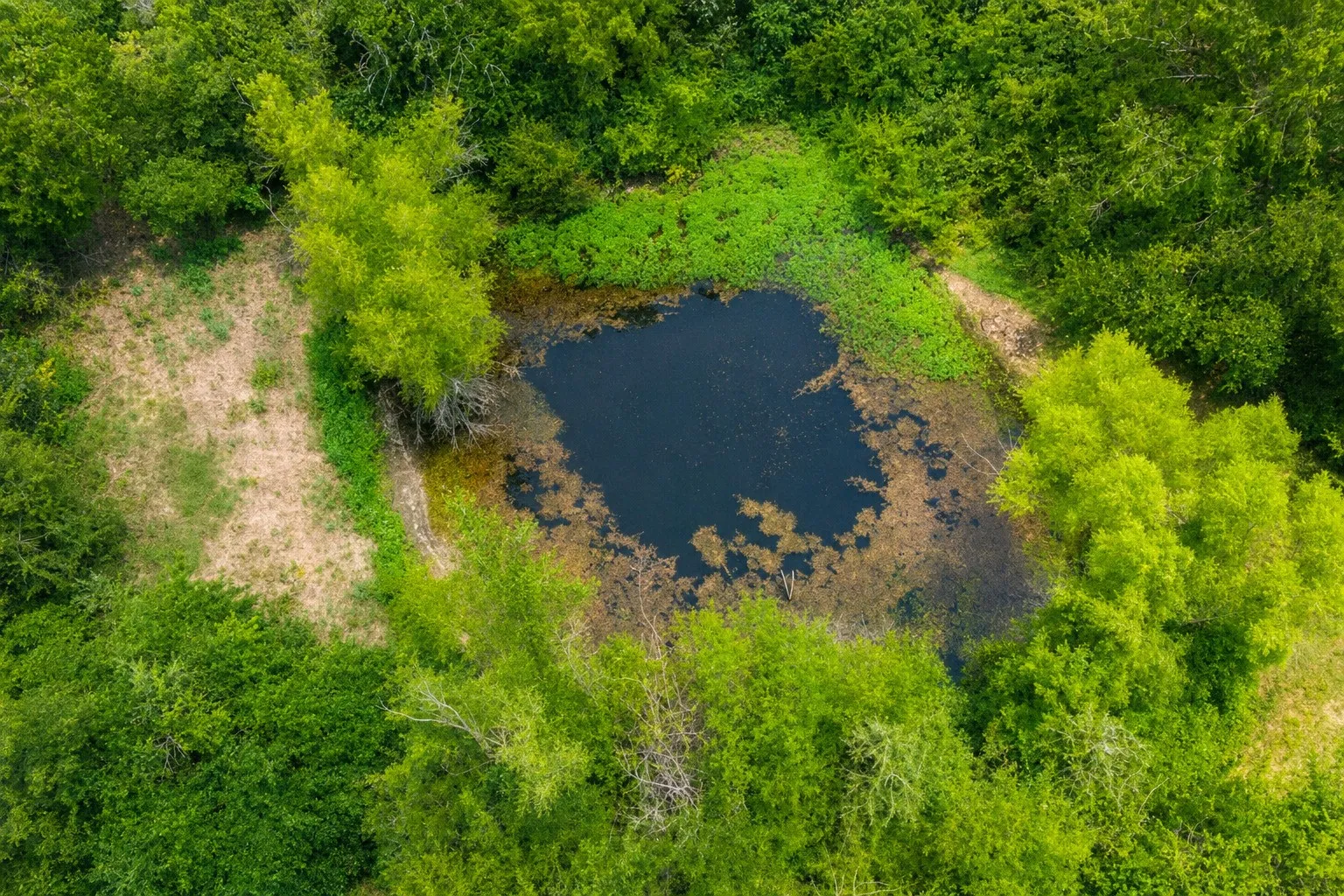 Single Family Residence For Sale in Lamar County , 479 County Road 27450, Honey Grove, Texas 75477, 3 Bedroom, 2 Bathroom, Garage spaces, 2,058 Sqft, built in 1900, mls#21250971, Real Estate Agent in Honey Grove, Homes For Sale in Lamar county, Homes For Sale in Honey Grove, Realtor in Honey Grove Texas, Real Estate Brokerage Independent Realty Texas, Luminita Cordes Realtor