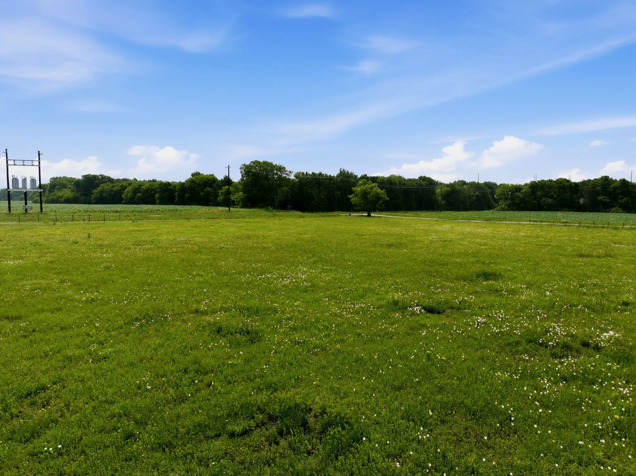 Unimproved Land For Sale in Collin County , TBD PR 5384 & Co Rd 488, Nevada, Texas 75173, 0, 0, Garage spaces, 0 Sqft, built in 0, Price $540,000, mls#21257597, Real Estate Agent in Nevada, Homes For Sale in Collin county, Homes For Sale in Nevada, Realtor in Nevada Texas, Real Estate Brokerage Independent Realty Texas, Luminita Cordes Realtor