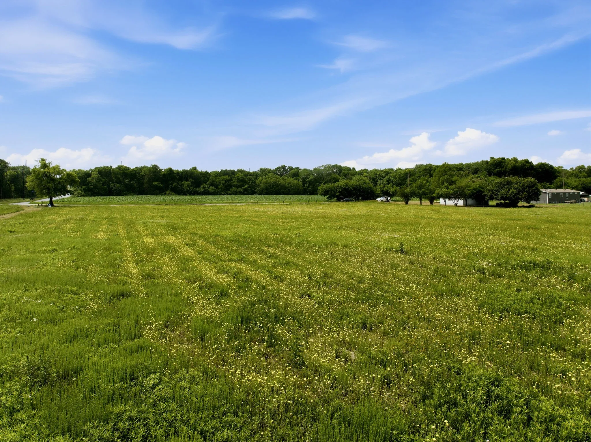 Unimproved Land For Sale in Collin County , TBD PR 5384 & Co Rd 488, Nevada, Texas 75173, 0, 0, Garage spaces, 0 Sqft, built in 0, Price $540,000, mls#21257597, Real Estate Agent in Nevada, Homes For Sale in Collin county, Homes For Sale in Nevada, Realtor in Nevada Texas, Real Estate Brokerage Independent Realty Texas, Luminita Cordes Realtor
