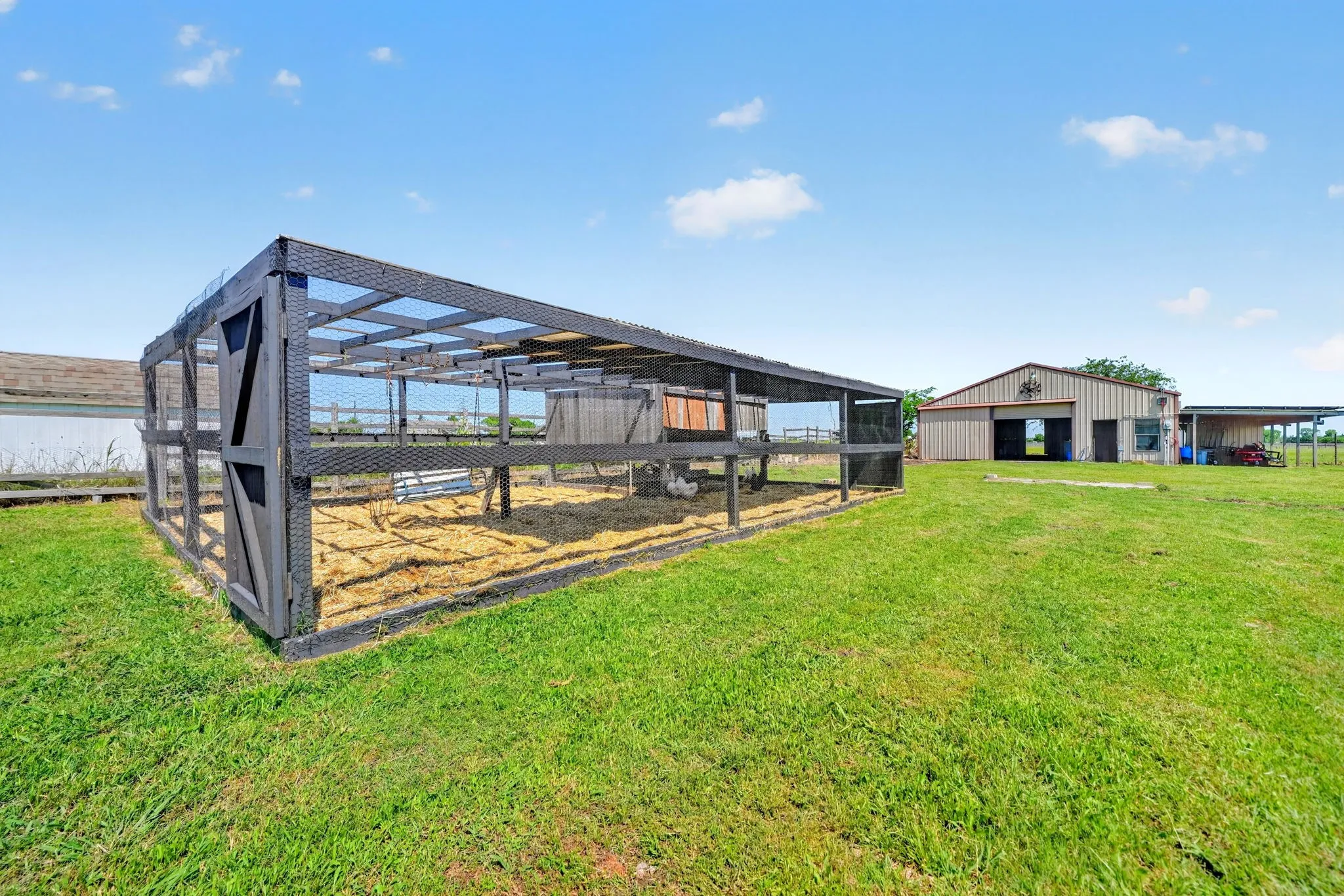 Chicken Coop