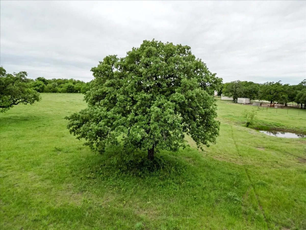 Farm For Sale in Jack County , 318 E Lone Star Road, Poolville, Texas 76487, 5 Bedroom, 5 Bathroom, 3 Garage spaces, 4,469 Sqft, built in 2006, mls#21255112, Real Estate Agent in Poolville, Homes For Sale in Jack county, Homes For Sale in Poolville, Realtor in Poolville Texas, Real Estate Brokerage Independent Realty Texas, Luminita Cordes Realtor