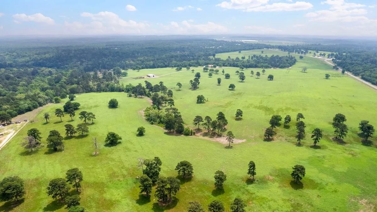 Single Family Residence For Sale in Wood County , 226 Fm 2869, Winnsboro, Texas 75494, 6 Bedroom, 7 Bathroom, 3 Garage spaces, 6,204 Sqft, built in 1990, Preowned, mls#21257096, Real Estate Agent in Winnsboro, Homes For Sale in Wood county, Homes For Sale in Winnsboro, Realtor in Winnsboro Texas, Real Estate Brokerage Independent Realty Texas, Luminita Cordes Realtor