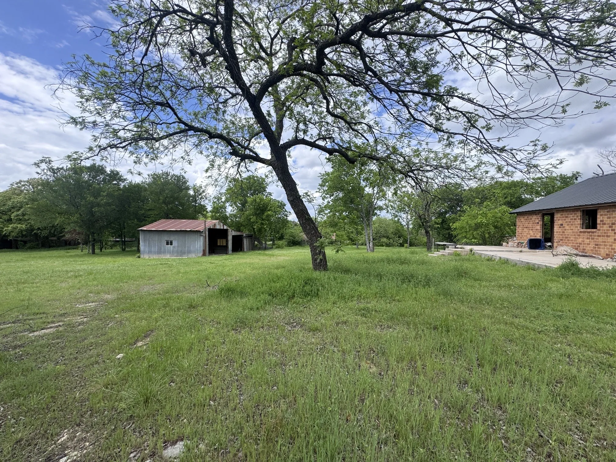 Expansive green yard with mature trees providing shade