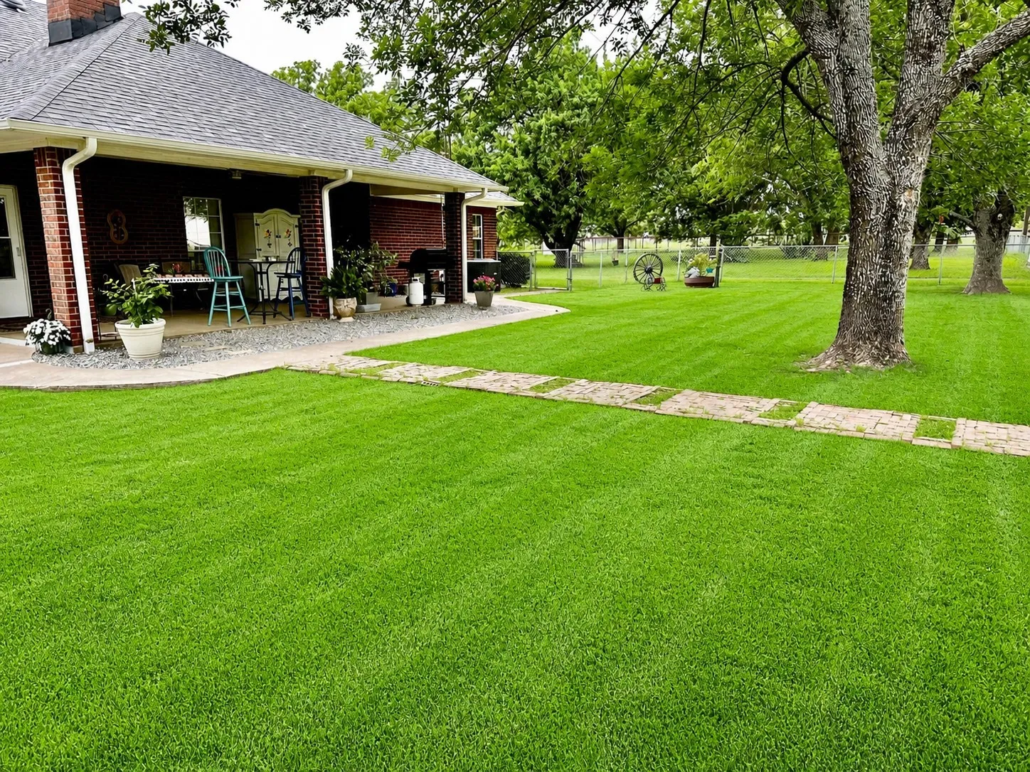 Rear of house - separate fenced yard for pets