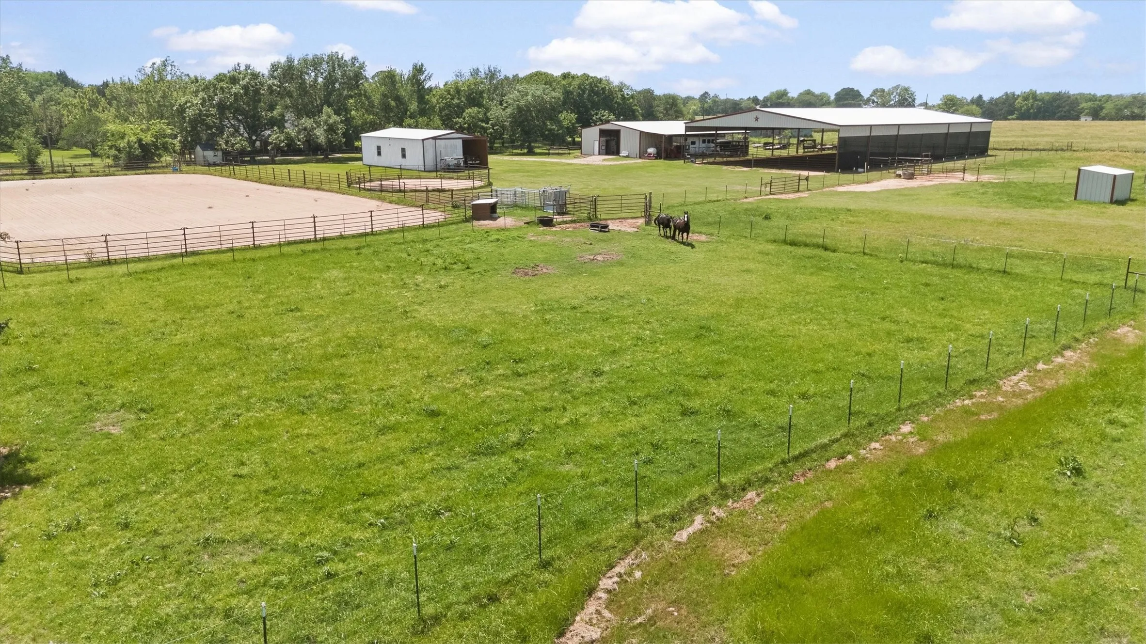Aerial view of the horse pastures