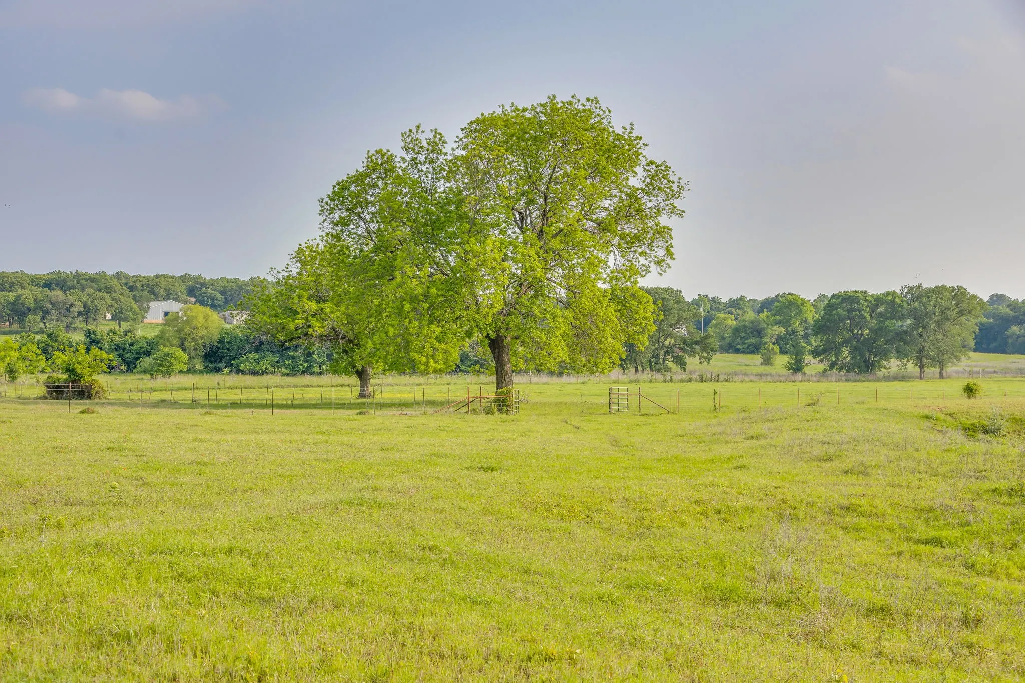 Farm For Sale in Hill County , 184 Hcr 1439, Covington, Texas 76636, 4 Bedroom, 3 Bathroom, Garage spaces, 2,318 Sqft, built in 2018, Preowned, mls#21257273, Real Estate Agent in Covington, Homes For Sale in Hill county, Homes For Sale in Covington, Realtor in Covington Texas, Real Estate Brokerage Independent Realty Texas, Luminita Cordes Realtor