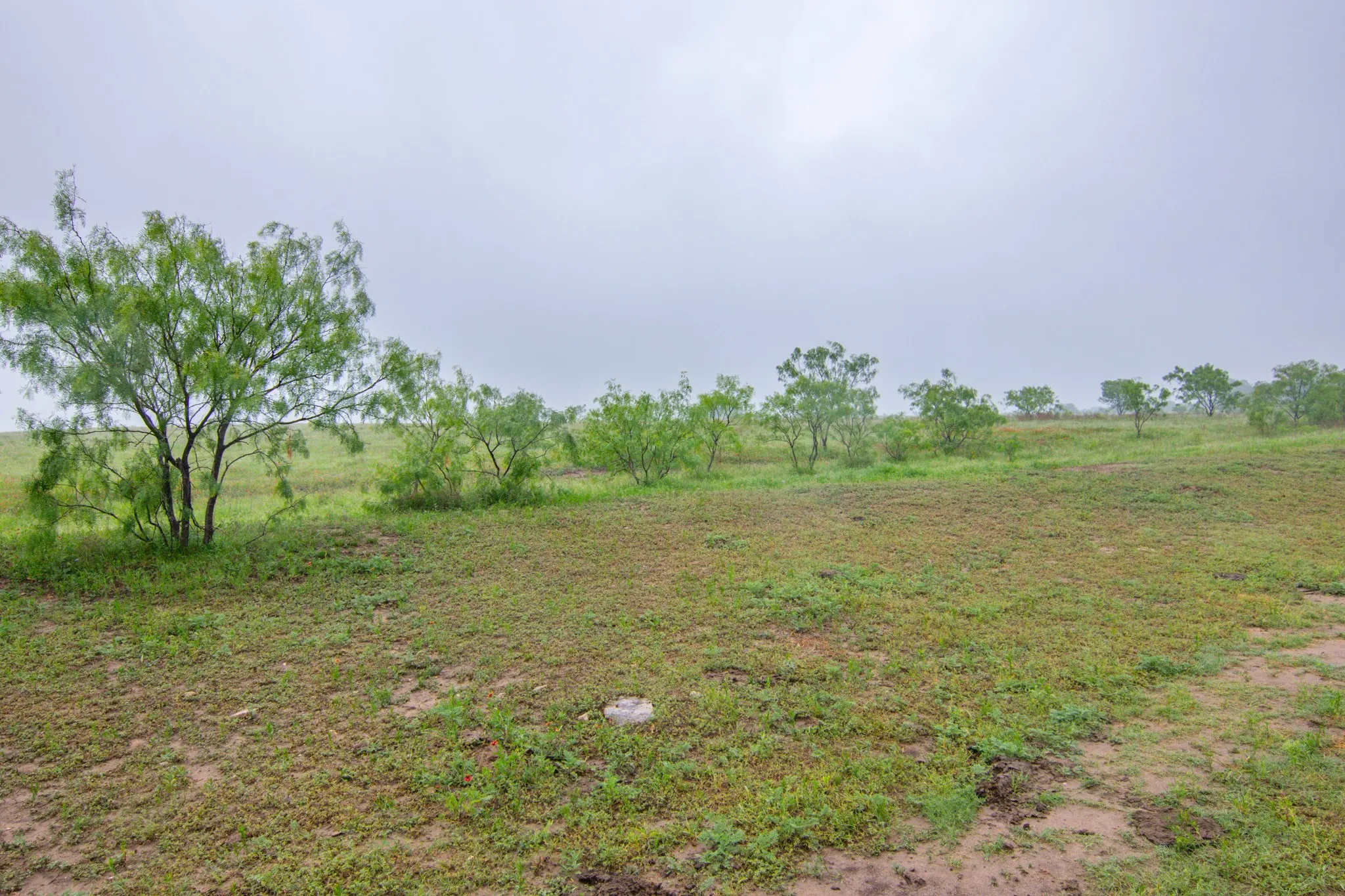 Unimproved Land For Sale in Comanche County , TBD Cr 210, Comanche, Texas 76442, 0, 0, Garage spaces, 0 Sqft, built in 0, Price $2,245,800, mls#21257998, Real Estate Agent in Comanche, Homes For Sale in Comanche county, Homes For Sale in Comanche, Realtor in Comanche Texas, Real Estate Brokerage Independent Realty Texas, Luminita Cordes Realtor