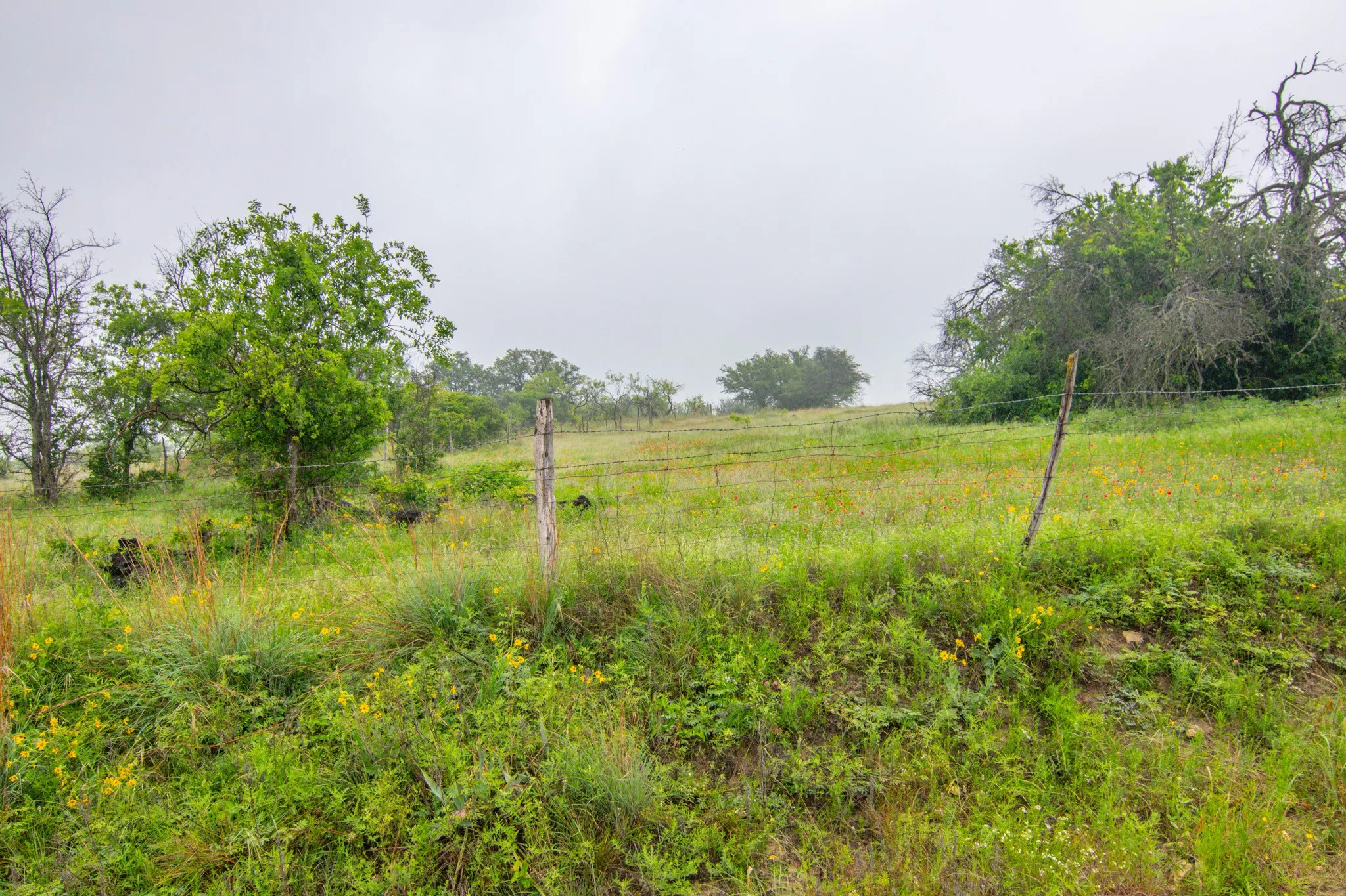 Unimproved Land For Sale in Comanche County , TBD Cr 210, Comanche, Texas 76442, 0, 0, Garage spaces, 0 Sqft, built in 0, Price $2,245,800, mls#21257998, Real Estate Agent in Comanche, Homes For Sale in Comanche county, Homes For Sale in Comanche, Realtor in Comanche Texas, Real Estate Brokerage Independent Realty Texas, Luminita Cordes Realtor
