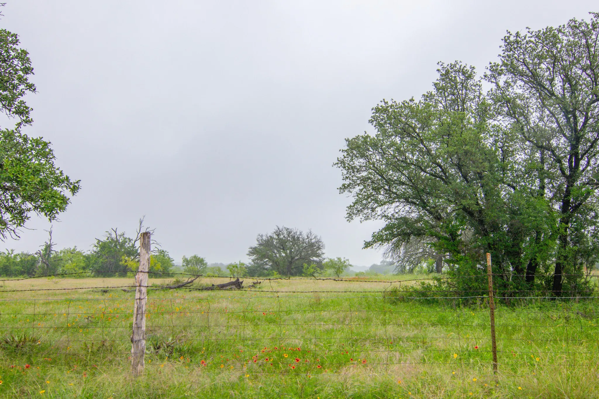 Unimproved Land For Sale in Comanche County , TBD Cr 210, Comanche, Texas 76442, 0, 0, Garage spaces, 0 Sqft, built in 0, Price $2,245,800, mls#21257998, Real Estate Agent in Comanche, Homes For Sale in Comanche county, Homes For Sale in Comanche, Realtor in Comanche Texas, Real Estate Brokerage Independent Realty Texas, Luminita Cordes Realtor