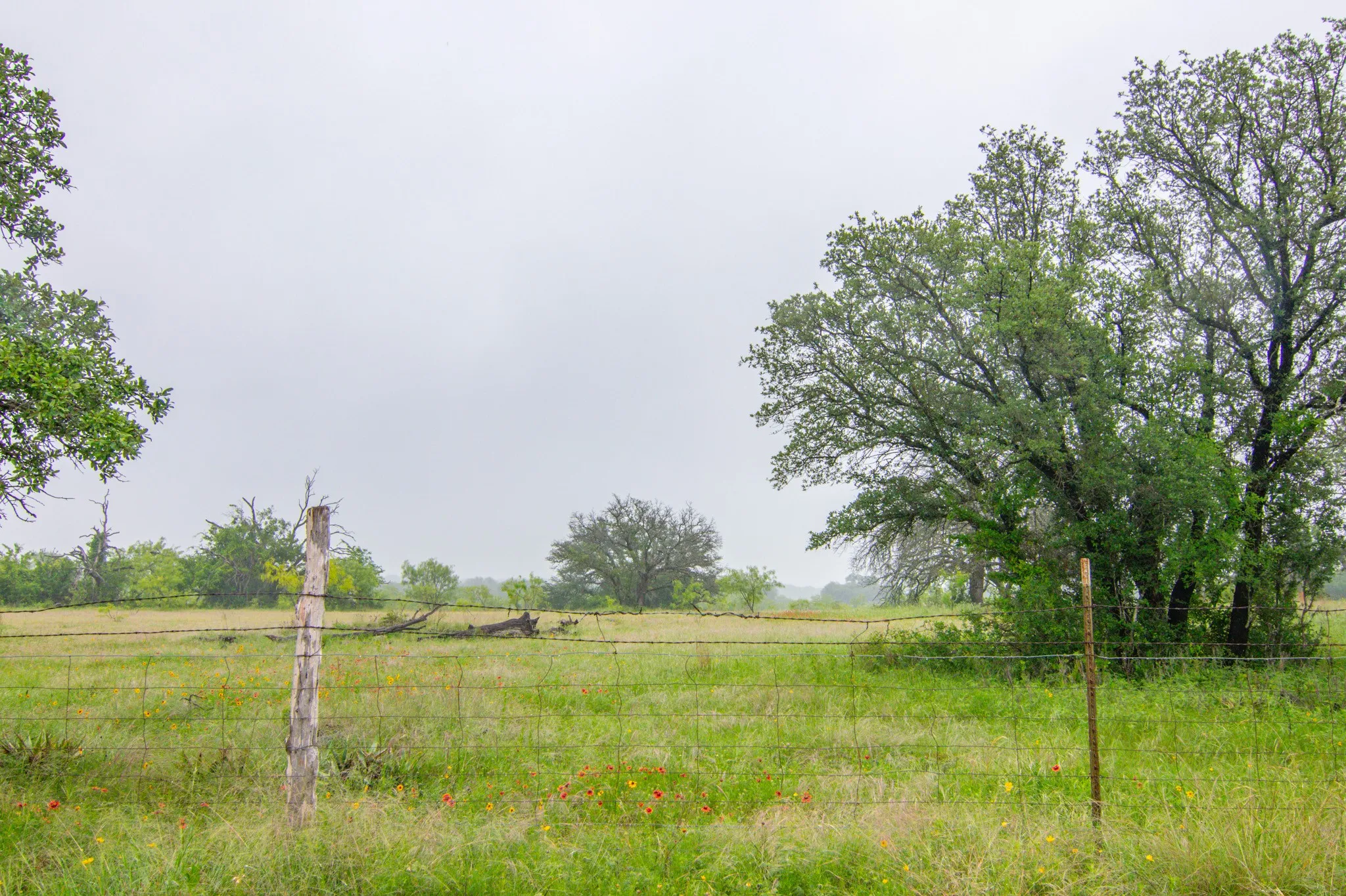 Unimproved Land For Sale in Comanche County , TBD Cr 210, Comanche, Texas 76442, 0, 0, Garage spaces, 0 Sqft, built in 0, Price $2,245,800, mls#21257998, Real Estate Agent in Comanche, Homes For Sale in Comanche county, Homes For Sale in Comanche, Realtor in Comanche Texas, Real Estate Brokerage Independent Realty Texas, Luminita Cordes Realtor