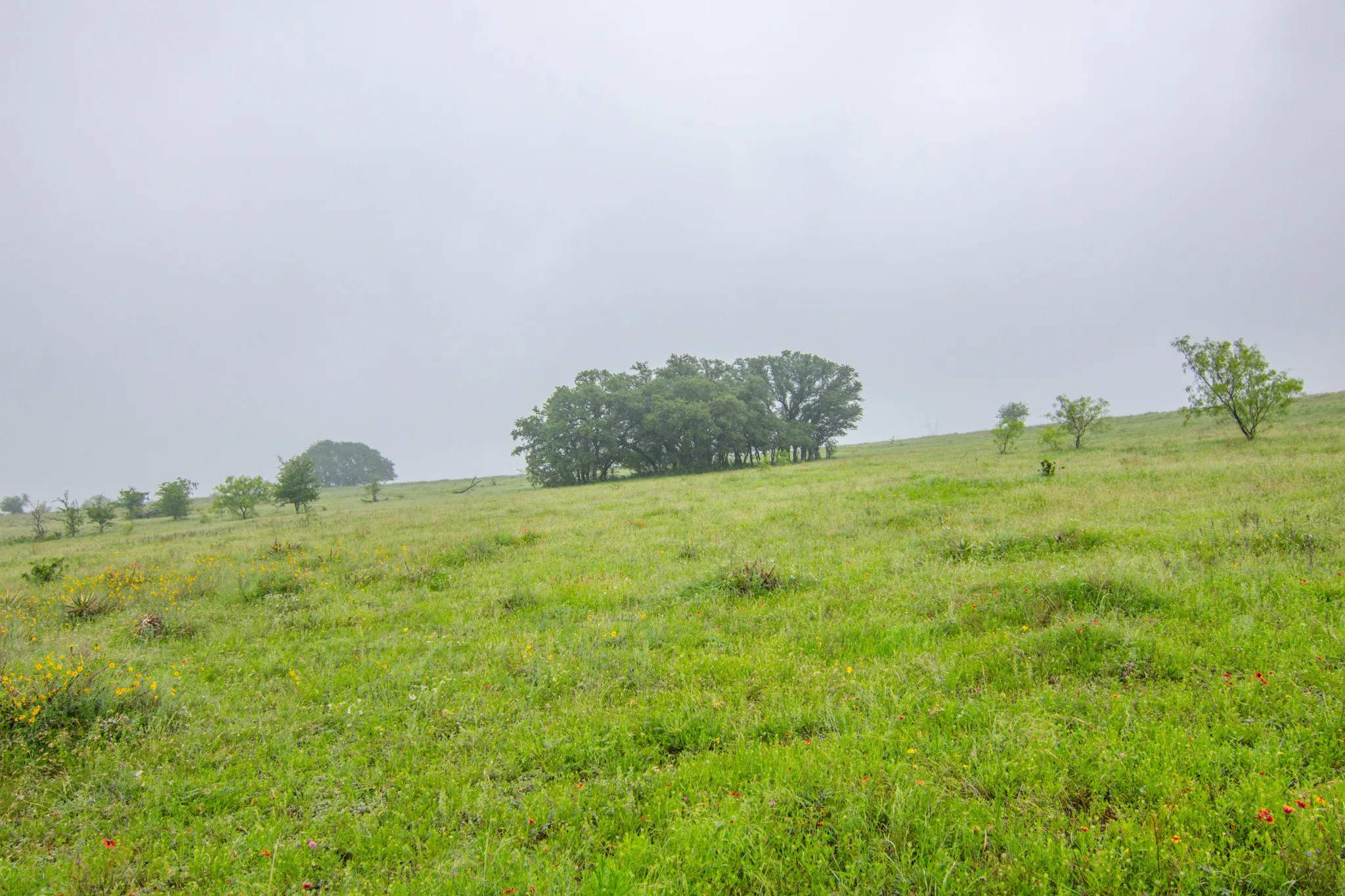 Unimproved Land For Sale in Comanche County , TBD Cr 210, Comanche, Texas 76442, 0, 0, Garage spaces, 0 Sqft, built in 0, Price $2,245,800, mls#21257998, Real Estate Agent in Comanche, Homes For Sale in Comanche county, Homes For Sale in Comanche, Realtor in Comanche Texas, Real Estate Brokerage Independent Realty Texas, Luminita Cordes Realtor