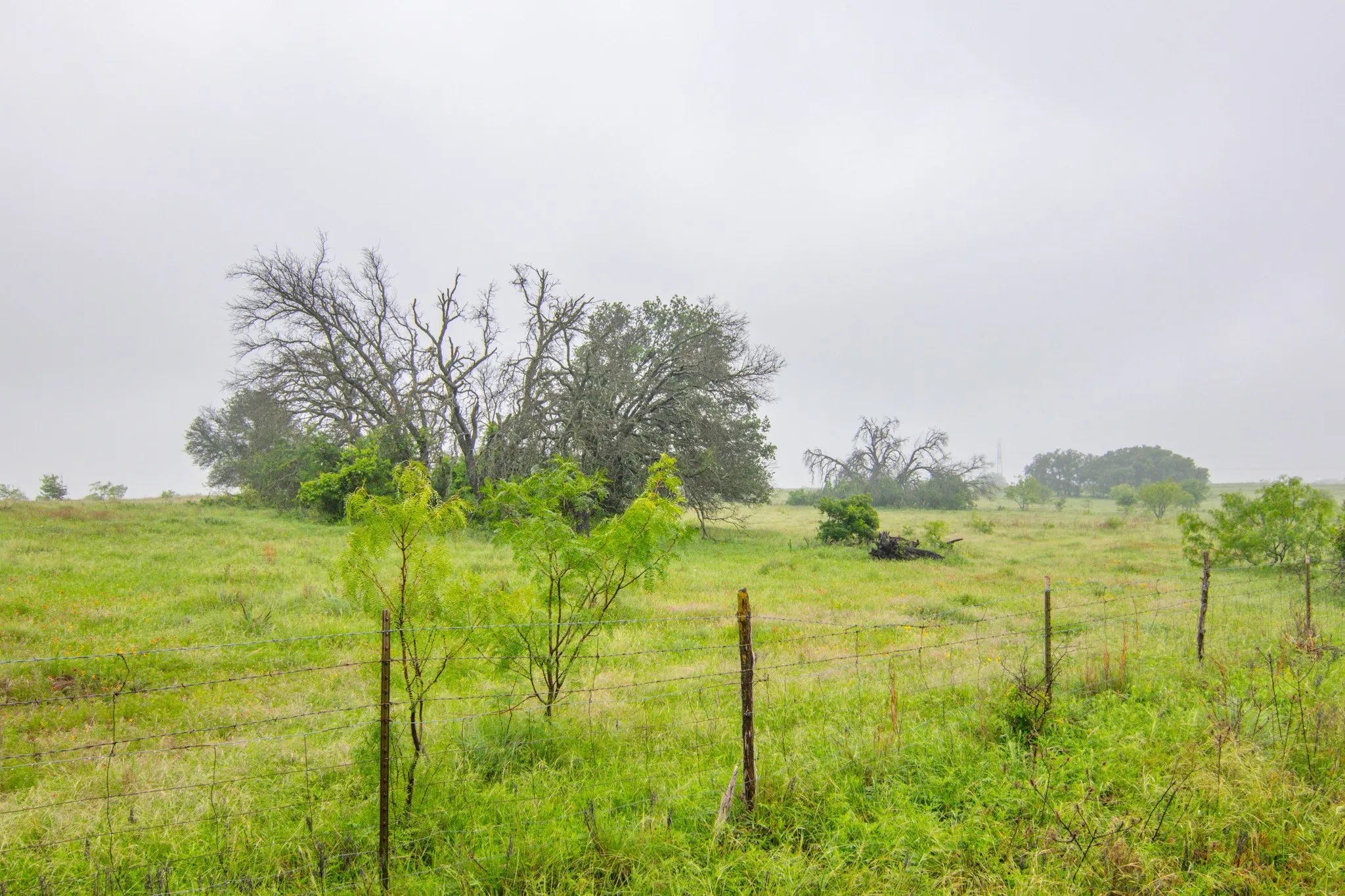Unimproved Land For Sale in Comanche County , TBD Cr 210, Comanche, Texas 76442, 0, 0, Garage spaces, 0 Sqft, built in 0, Price $2,245,800, mls#21257998, Real Estate Agent in Comanche, Homes For Sale in Comanche county, Homes For Sale in Comanche, Realtor in Comanche Texas, Real Estate Brokerage Independent Realty Texas, Luminita Cordes Realtor