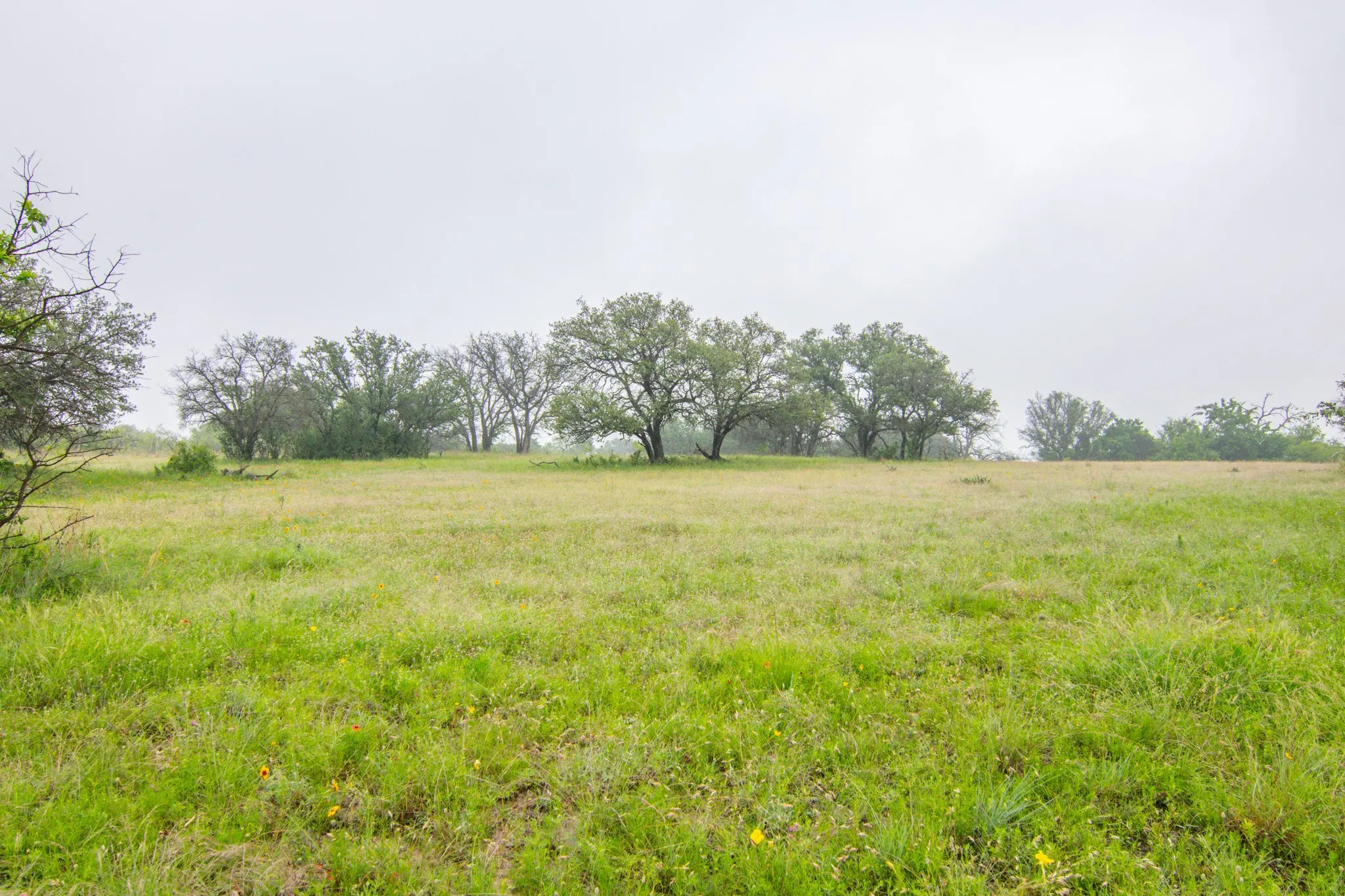 Unimproved Land For Sale in Comanche County , TBD Cr 210, Comanche, Texas 76442, 0, 0, Garage spaces, 0 Sqft, built in 0, Price $2,245,800, mls#21257998, Real Estate Agent in Comanche, Homes For Sale in Comanche county, Homes For Sale in Comanche, Realtor in Comanche Texas, Real Estate Brokerage Independent Realty Texas, Luminita Cordes Realtor