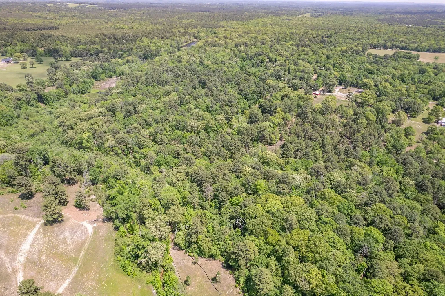 Unimproved Land For Sale in Wood County , 0 County Road 3588, Winnsboro, Texas 75494, 0, 0, Garage spaces, 0 Sqft, built in 0, Price $650,000, mls#21258126, Real Estate Agent in Winnsboro, Homes For Sale in Wood county, Homes For Sale in Winnsboro, Realtor in Winnsboro Texas, Real Estate Brokerage Independent Realty Texas, Luminita Cordes Realtor