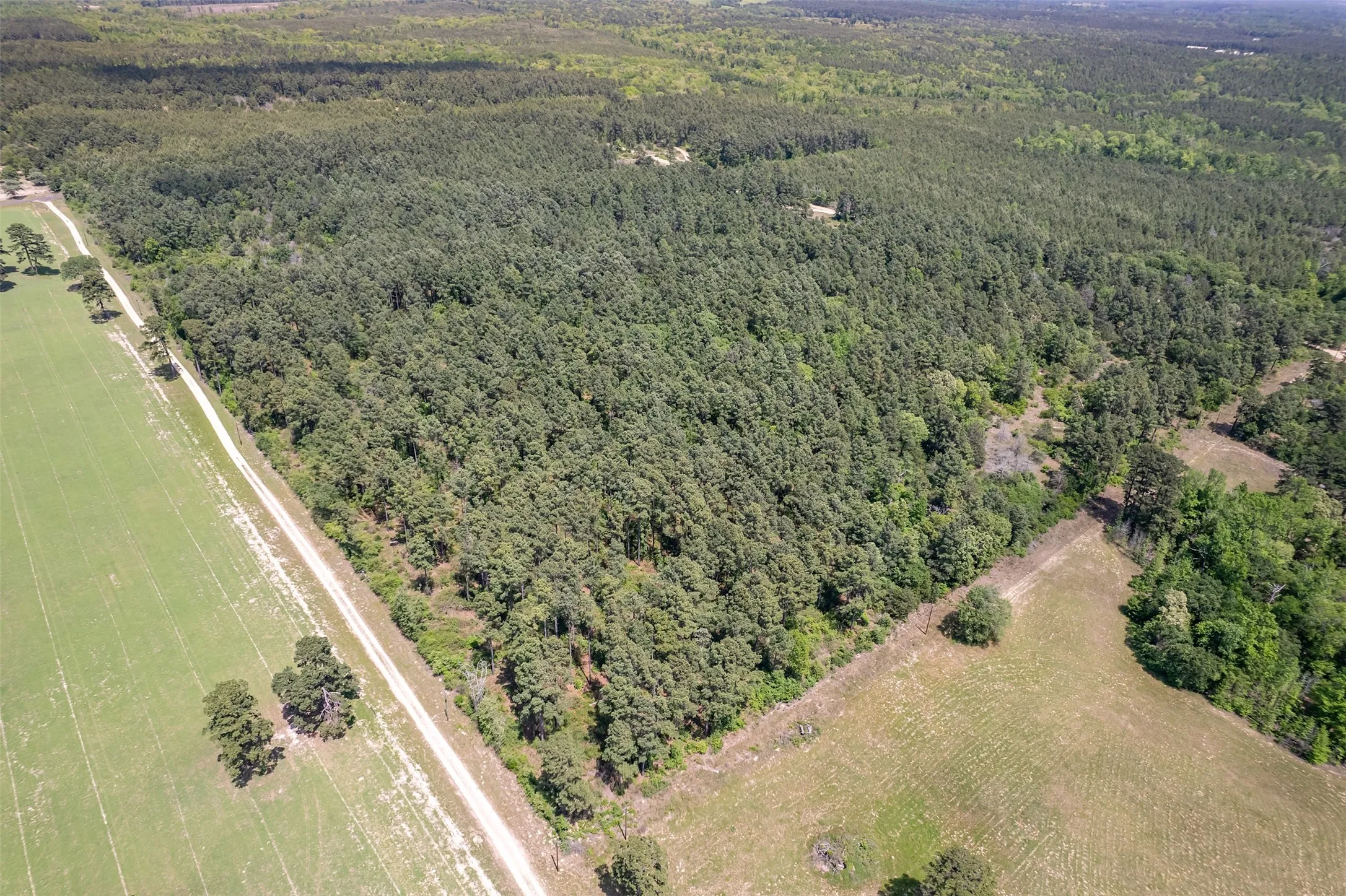 Unimproved Land For Sale in Wood County , 0 County Road 3588, Winnsboro, Texas 75494, 0, 0, Garage spaces, 0 Sqft, built in 0, Price $650,000, mls#21258126, Real Estate Agent in Winnsboro, Homes For Sale in Wood county, Homes For Sale in Winnsboro, Realtor in Winnsboro Texas, Real Estate Brokerage Independent Realty Texas, Luminita Cordes Realtor