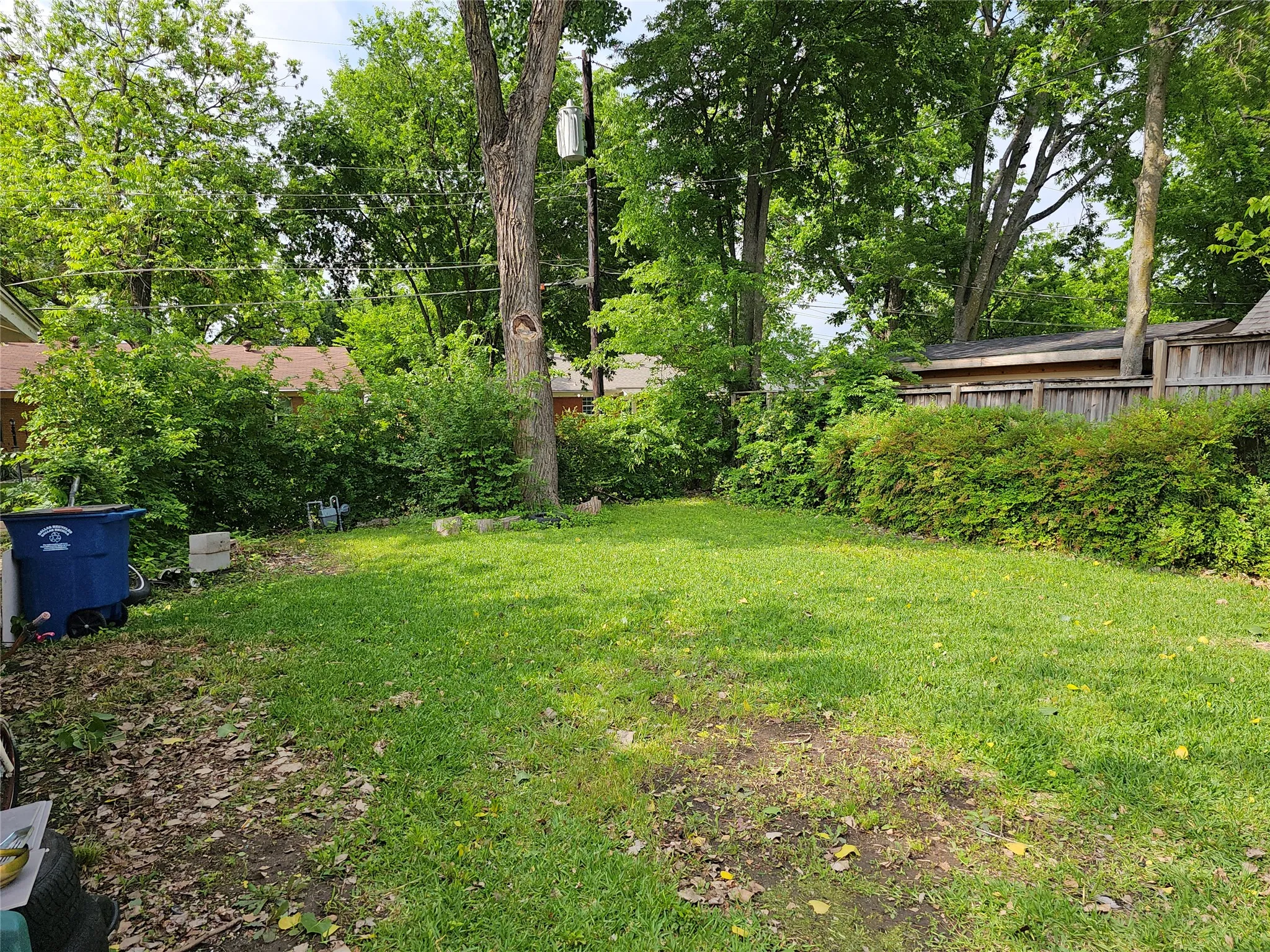 Expansive green lawn surrounded by mature trees and shrubs, offering natural shade