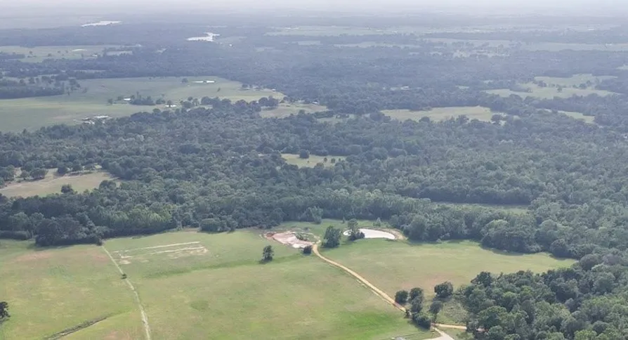Unimproved Land For Sale in Anderson County , 2711 An County Road 2301, Tennessee Colony, Texas 75861, 0, 0, Garage spaces, 0 Sqft, built in 0, mls#21253851, Real Estate Agent in Tennessee Colony, Homes For Sale in Anderson county, Homes For Sale in Tennessee Colony, Realtor in Tennessee Colony Texas, Real Estate Brokerage Independent Realty Texas, Luminita Cordes Realtor