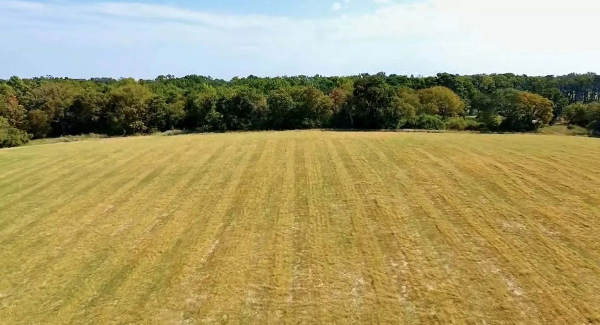 Unimproved Land For Sale in Anderson County , 2711 An County Road 2301, Tennessee Colony, Texas 75861, 0, 0, Garage spaces, 0 Sqft, built in 0, mls#21253851, Real Estate Agent in Tennessee Colony, Homes For Sale in Anderson county, Homes For Sale in Tennessee Colony, Realtor in Tennessee Colony Texas, Real Estate Brokerage Independent Realty Texas, Luminita Cordes Realtor