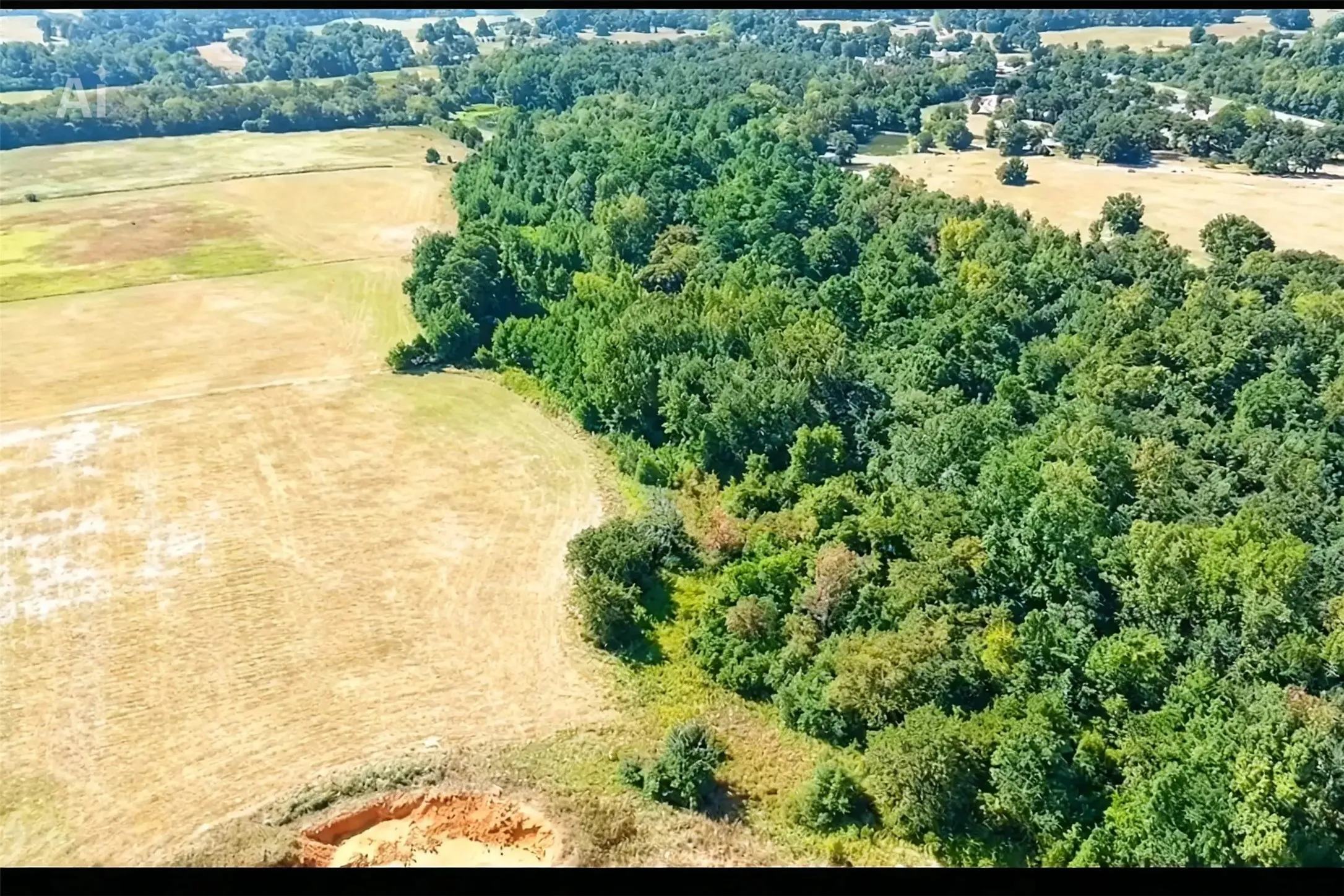 Unimproved Land For Sale in Anderson County , 2711 An County Road 2301, Tennessee Colony, Texas 75861, 0, 0, Garage spaces, 0 Sqft, built in 0, mls#21253851, Real Estate Agent in Tennessee Colony, Homes For Sale in Anderson county, Homes For Sale in Tennessee Colony, Realtor in Tennessee Colony Texas, Real Estate Brokerage Independent Realty Texas, Luminita Cordes Realtor