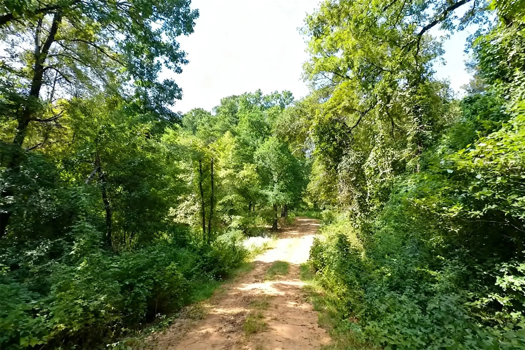 Unimproved Land For Sale in Anderson County , 2711 An County Road 2301, Tennessee Colony, Texas 75861, 0, 0, Garage spaces, 0 Sqft, built in 0, mls#21253851, Real Estate Agent in Tennessee Colony, Homes For Sale in Anderson county, Homes For Sale in Tennessee Colony, Realtor in Tennessee Colony Texas, Real Estate Brokerage Independent Realty Texas, Luminita Cordes Realtor