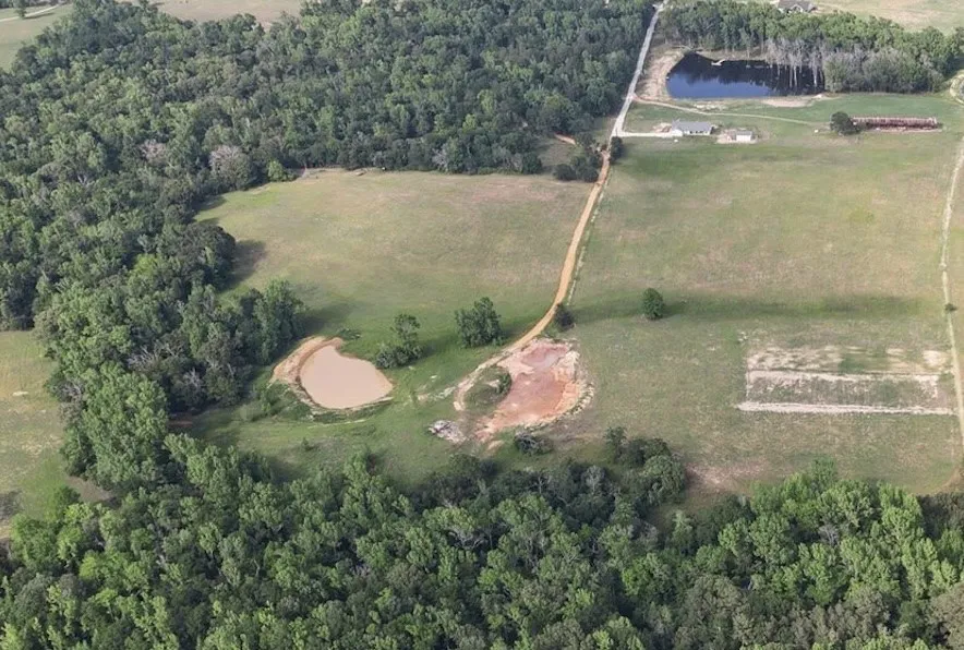 Unimproved Land For Sale in Anderson County , 2711 An County Road 2301, Tennessee Colony, Texas 75861, 0, 0, Garage spaces, 0 Sqft, built in 0, mls#21253851, Real Estate Agent in Tennessee Colony, Homes For Sale in Anderson county, Homes For Sale in Tennessee Colony, Realtor in Tennessee Colony Texas, Real Estate Brokerage Independent Realty Texas, Luminita Cordes Realtor