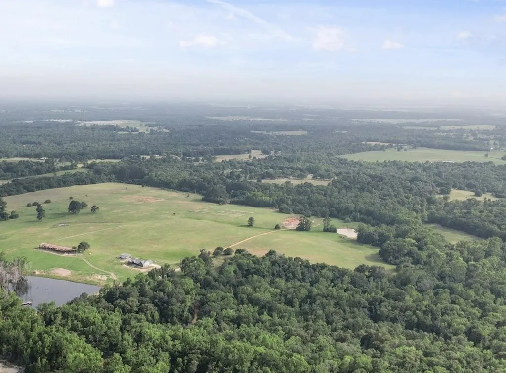 Unimproved Land For Sale in Anderson County , 2711 An County Road 2301, Tennessee Colony, Texas 75861, 0, 0, Garage spaces, 0 Sqft, built in 0, mls#21253851, Real Estate Agent in Tennessee Colony, Homes For Sale in Anderson county, Homes For Sale in Tennessee Colony, Realtor in Tennessee Colony Texas, Real Estate Brokerage Independent Realty Texas, Luminita Cordes Realtor