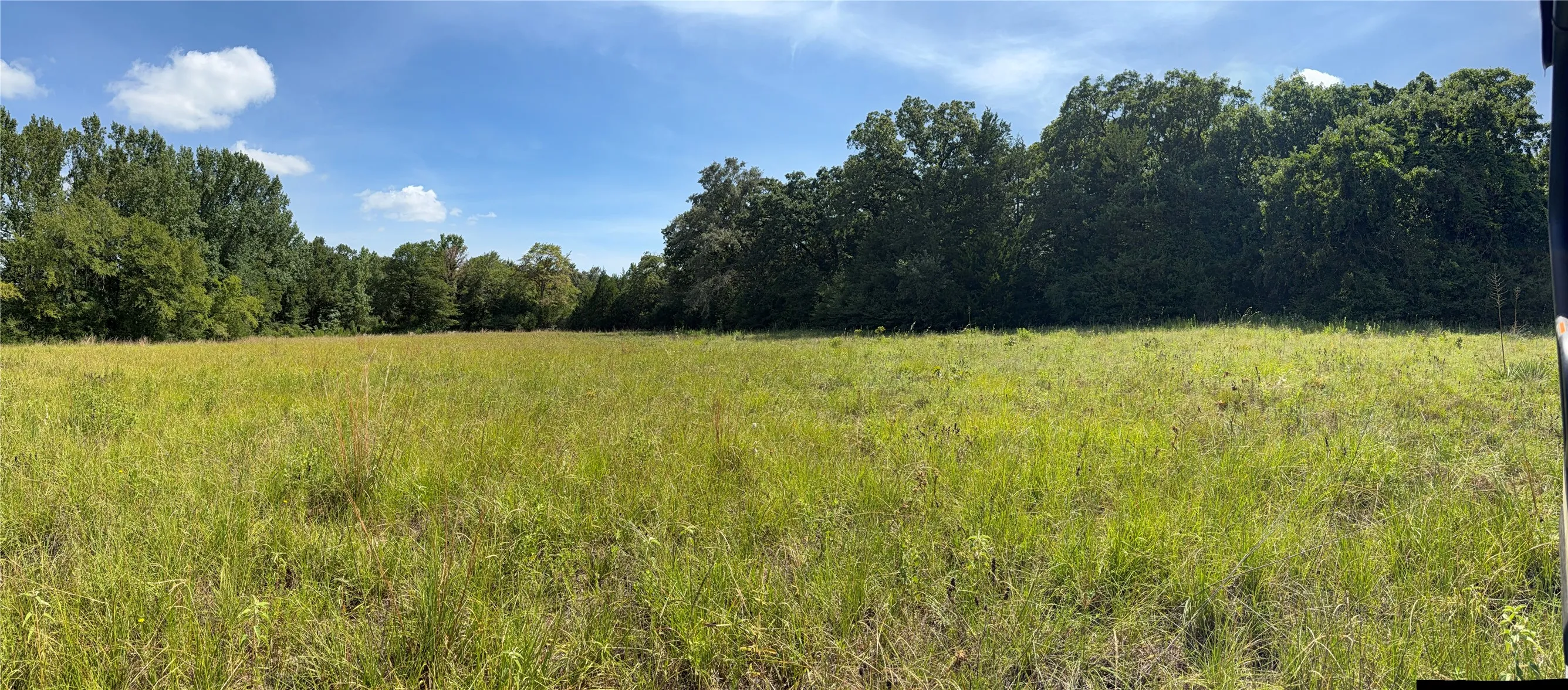 Unimproved Land For Sale in Anderson County , 2711 An County Road 2301, Tennessee Colony, Texas 75861, 0, 0, Garage spaces, 0 Sqft, built in 0, mls#21253851, Real Estate Agent in Tennessee Colony, Homes For Sale in Anderson county, Homes For Sale in Tennessee Colony, Realtor in Tennessee Colony Texas, Real Estate Brokerage Independent Realty Texas, Luminita Cordes Realtor