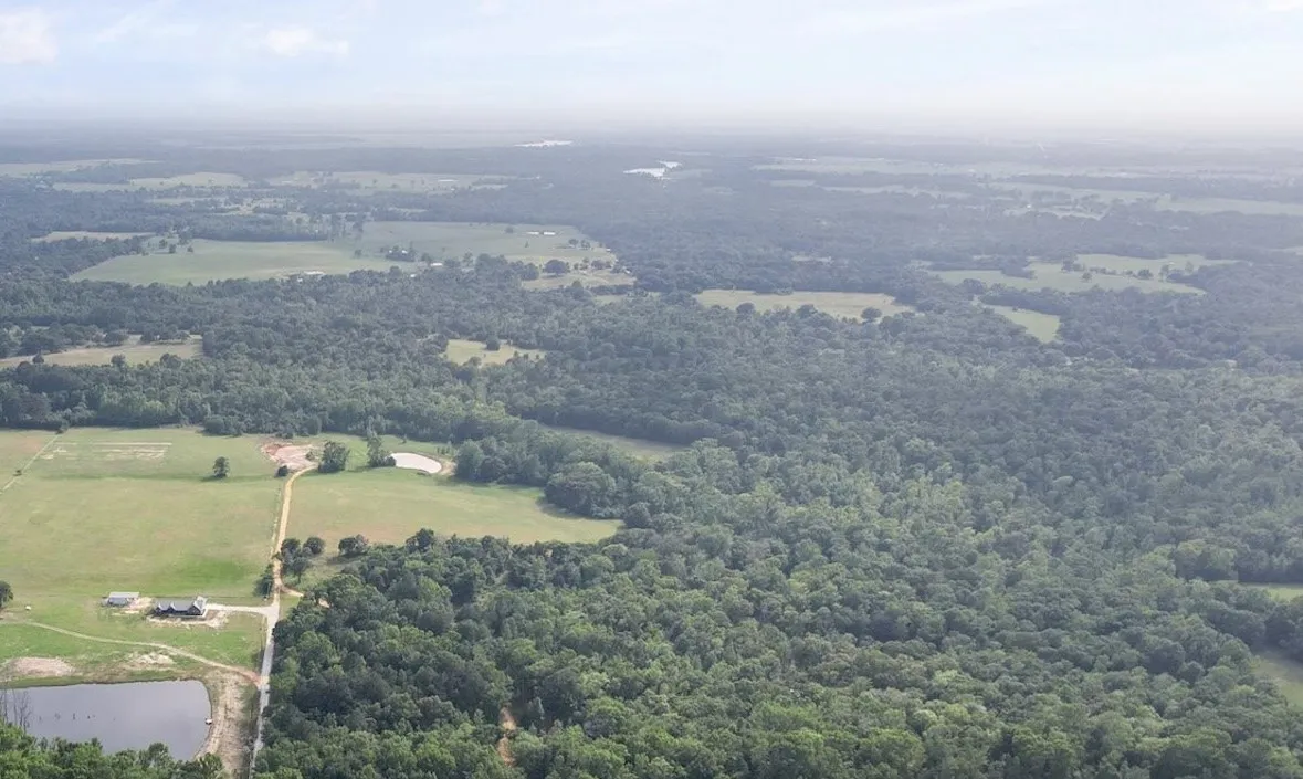 Unimproved Land For Sale in Anderson County , 2711 An County Road 2301, Tennessee Colony, Texas 75861, 0, 0, Garage spaces, 0 Sqft, built in 0, mls#21253851, Real Estate Agent in Tennessee Colony, Homes For Sale in Anderson county, Homes For Sale in Tennessee Colony, Realtor in Tennessee Colony Texas, Real Estate Brokerage Independent Realty Texas, Luminita Cordes Realtor