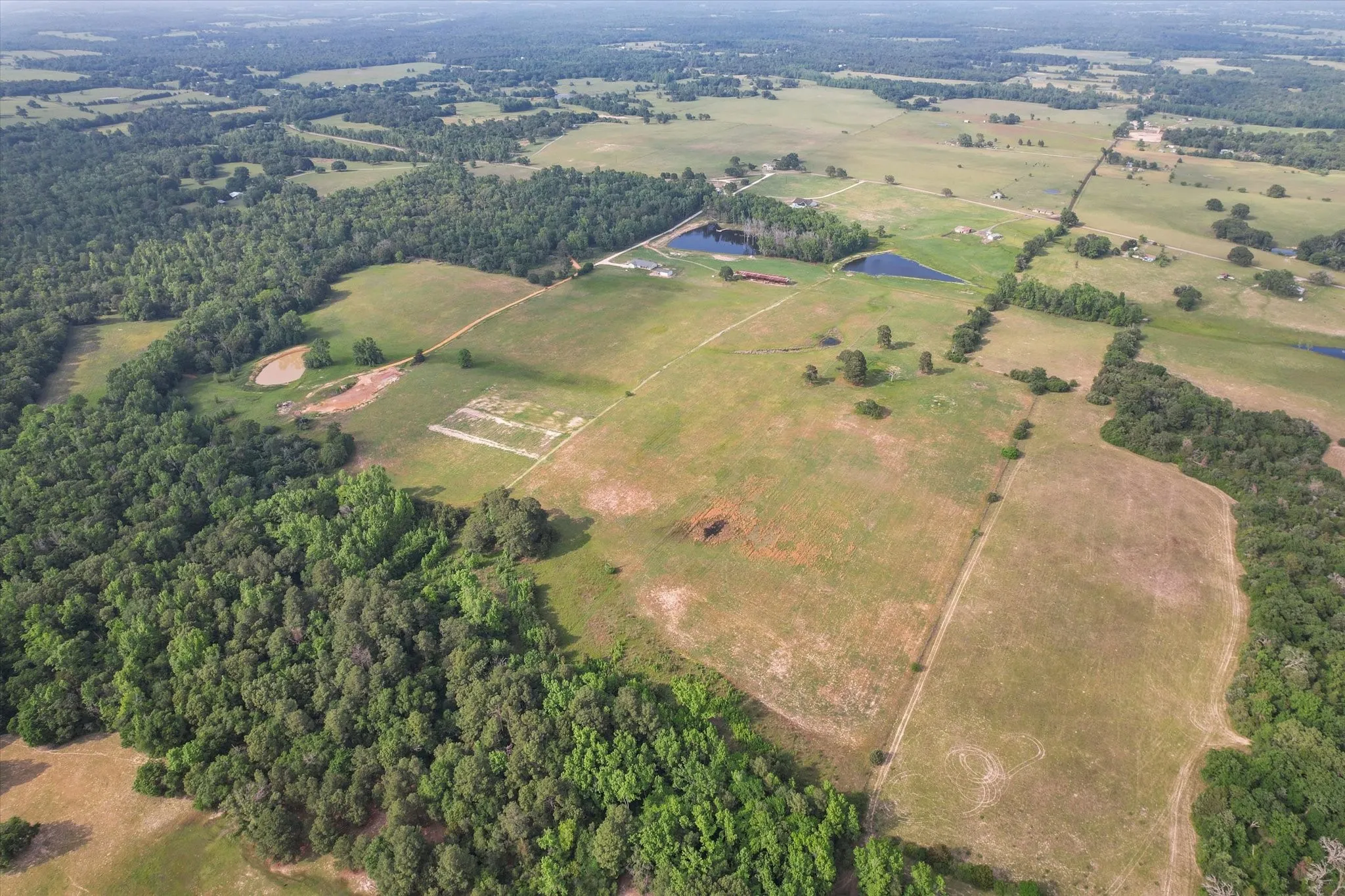 Unimproved Land For Sale in Anderson County , 2711 An County Road 2301, Tennessee Colony, Texas 75861, 0, 0, Garage spaces, 0 Sqft, built in 0, mls#21253851, Real Estate Agent in Tennessee Colony, Homes For Sale in Anderson county, Homes For Sale in Tennessee Colony, Realtor in Tennessee Colony Texas, Real Estate Brokerage Independent Realty Texas, Luminita Cordes Realtor