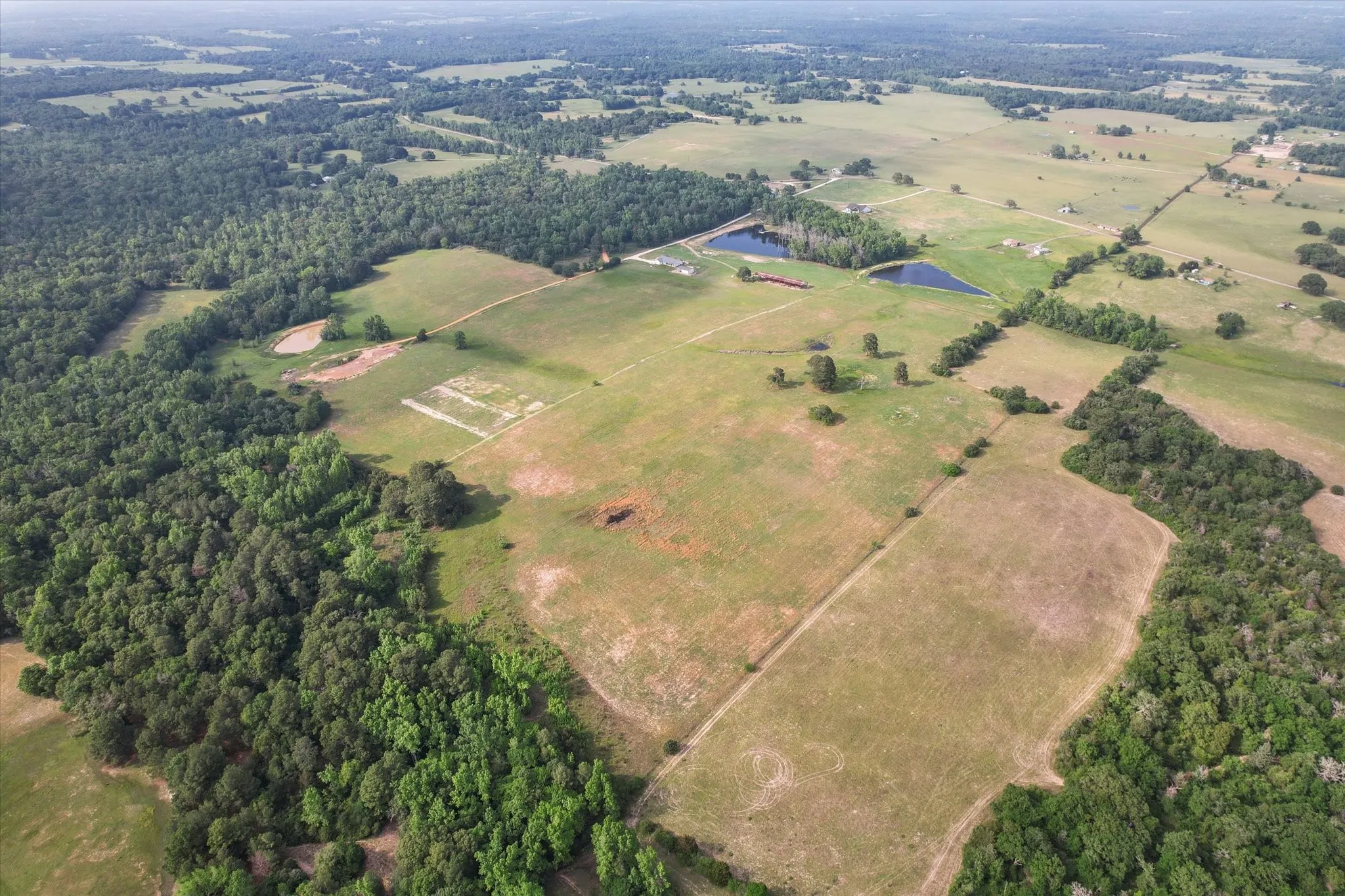 Unimproved Land For Sale in Anderson County , 2711 An County Road 2301, Tennessee Colony, Texas 75861, 0, 0, Garage spaces, 0 Sqft, built in 0, mls#21253851, Real Estate Agent in Tennessee Colony, Homes For Sale in Anderson county, Homes For Sale in Tennessee Colony, Realtor in Tennessee Colony Texas, Real Estate Brokerage Independent Realty Texas, Luminita Cordes Realtor