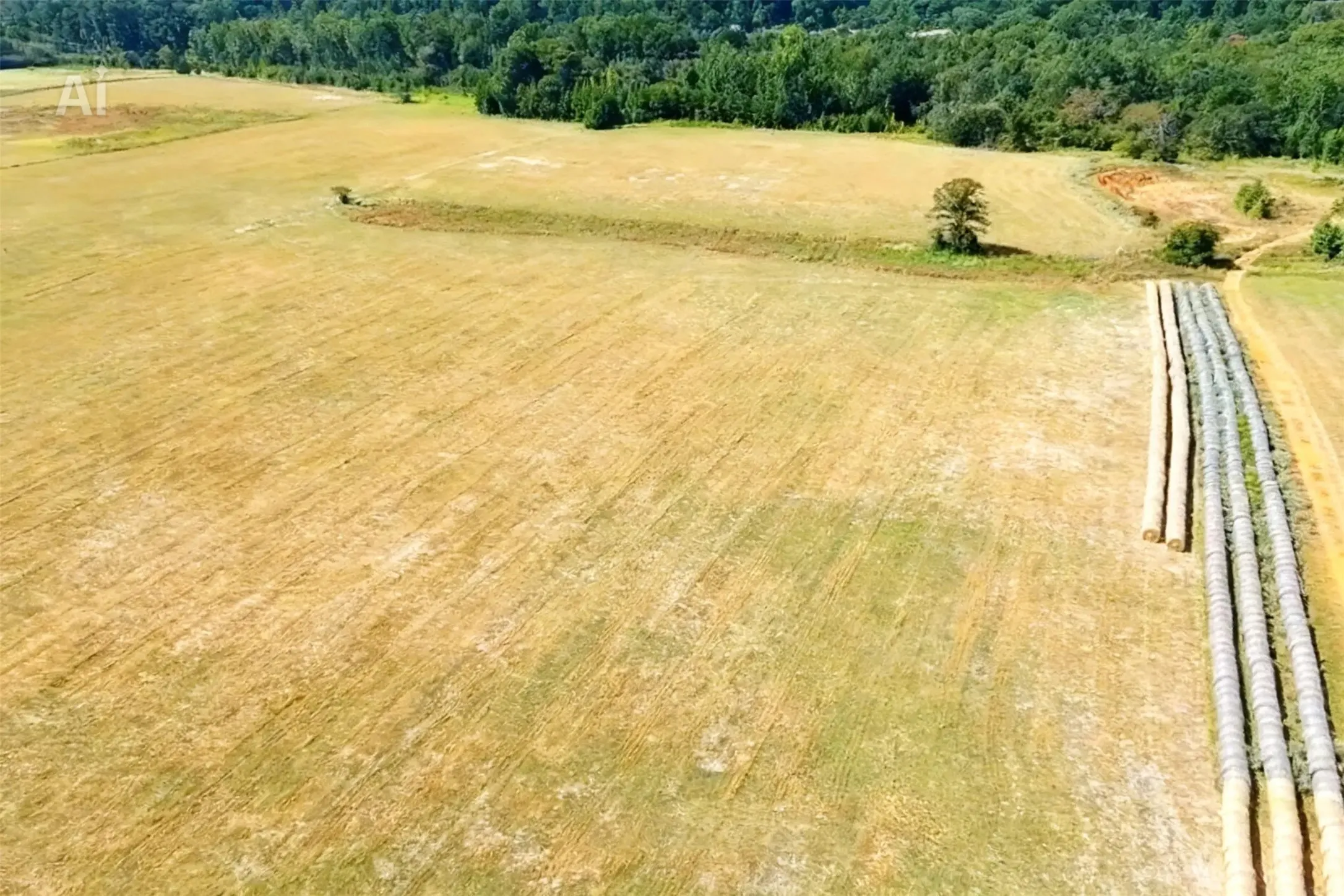 Unimproved Land For Sale in Anderson County , 2711 An County Road 2301, Tennessee Colony, Texas 75861, 0, 0, Garage spaces, 0 Sqft, built in 0, mls#21253851, Real Estate Agent in Tennessee Colony, Homes For Sale in Anderson county, Homes For Sale in Tennessee Colony, Realtor in Tennessee Colony Texas, Real Estate Brokerage Independent Realty Texas, Luminita Cordes Realtor