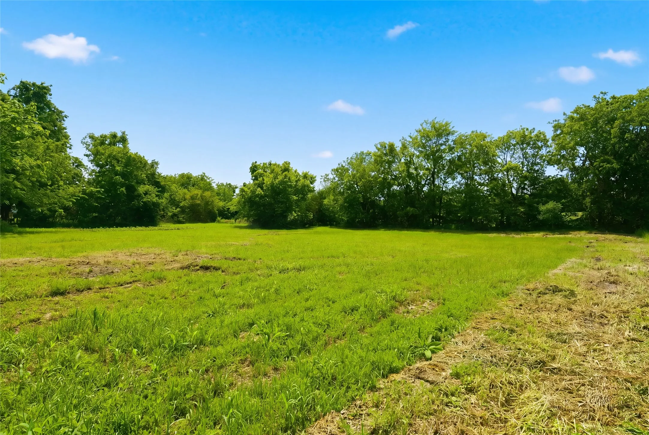 Unimproved Land For Sale in Hunt County , 204 S Grand Avenue, Wolfe City, Texas 75496, 0, 0, Garage spaces, 0 Sqft, built in 0, mls#21255177, Real Estate Agent in Wolfe City, Homes For Sale in Hunt county, Homes For Sale in Wolfe City, Realtor in Wolfe City Texas, Real Estate Brokerage Independent Realty Texas, Luminita Cordes Realtor