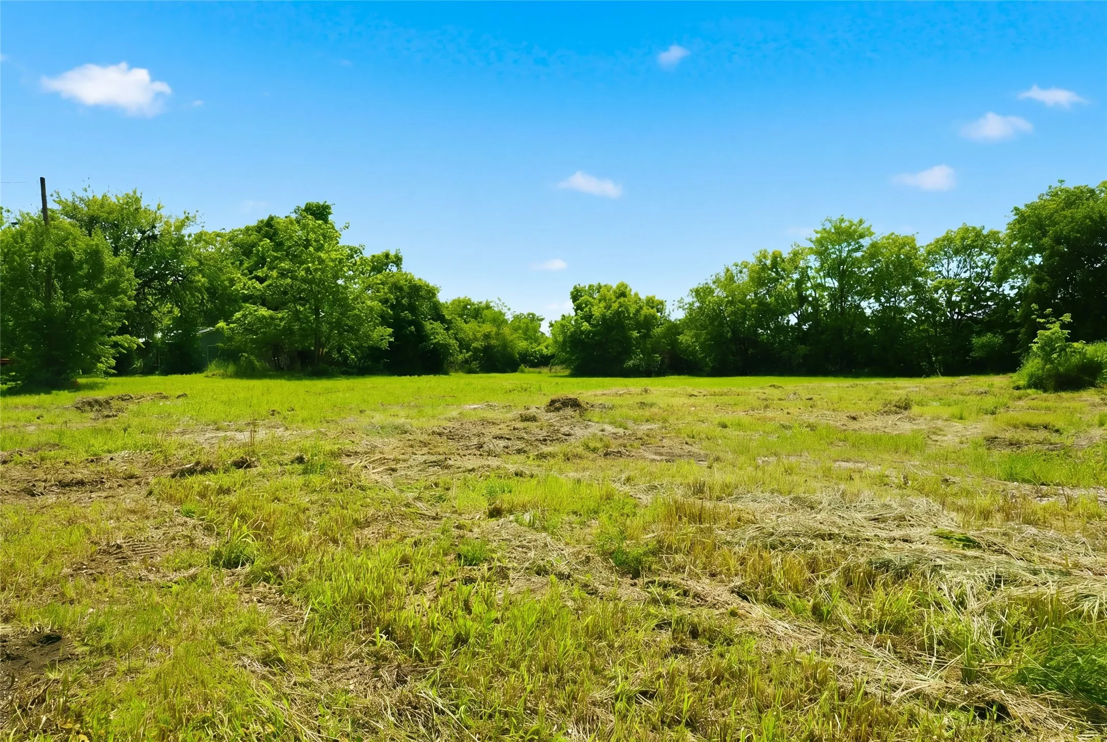 Unimproved Land For Sale in Hunt County , 204 S Grand Avenue, Wolfe City, Texas 75496, 0, 0, Garage spaces, 0 Sqft, built in 0, mls#21255177, Real Estate Agent in Wolfe City, Homes For Sale in Hunt county, Homes For Sale in Wolfe City, Realtor in Wolfe City Texas, Real Estate Brokerage Independent Realty Texas, Luminita Cordes Realtor