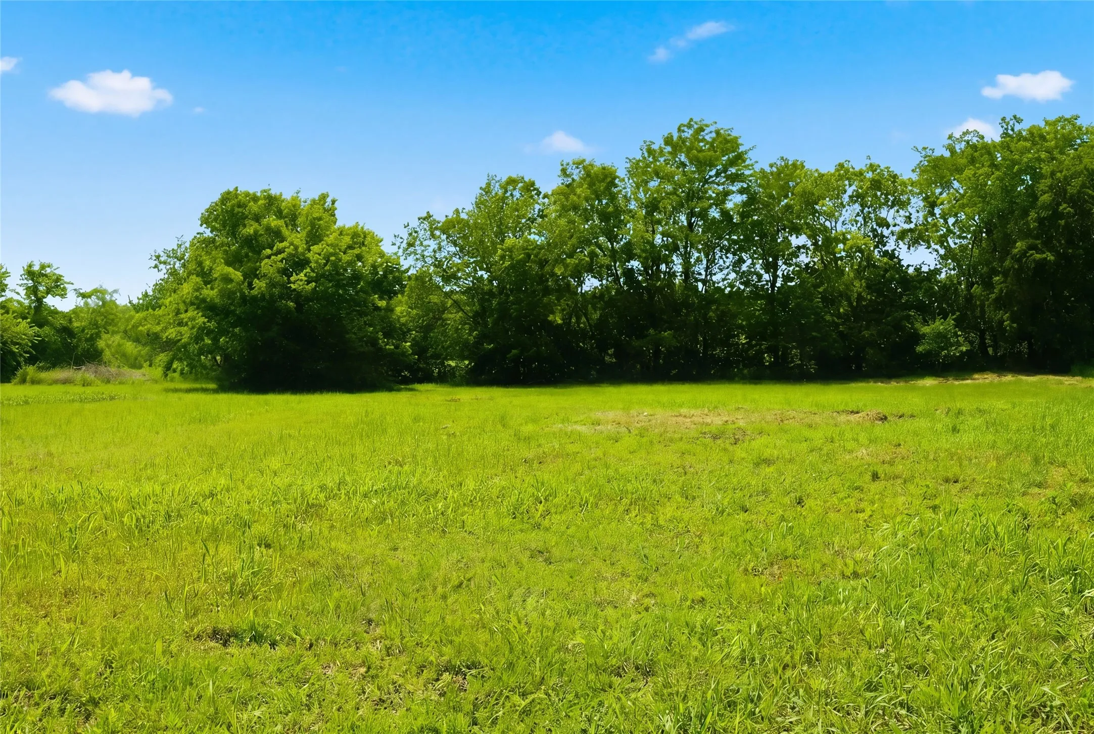 Unimproved Land For Sale in Hunt County , 204 S Grand Avenue, Wolfe City, Texas 75496, 0, 0, Garage spaces, 0 Sqft, built in 0, mls#21255177, Real Estate Agent in Wolfe City, Homes For Sale in Hunt county, Homes For Sale in Wolfe City, Realtor in Wolfe City Texas, Real Estate Brokerage Independent Realty Texas, Luminita Cordes Realtor