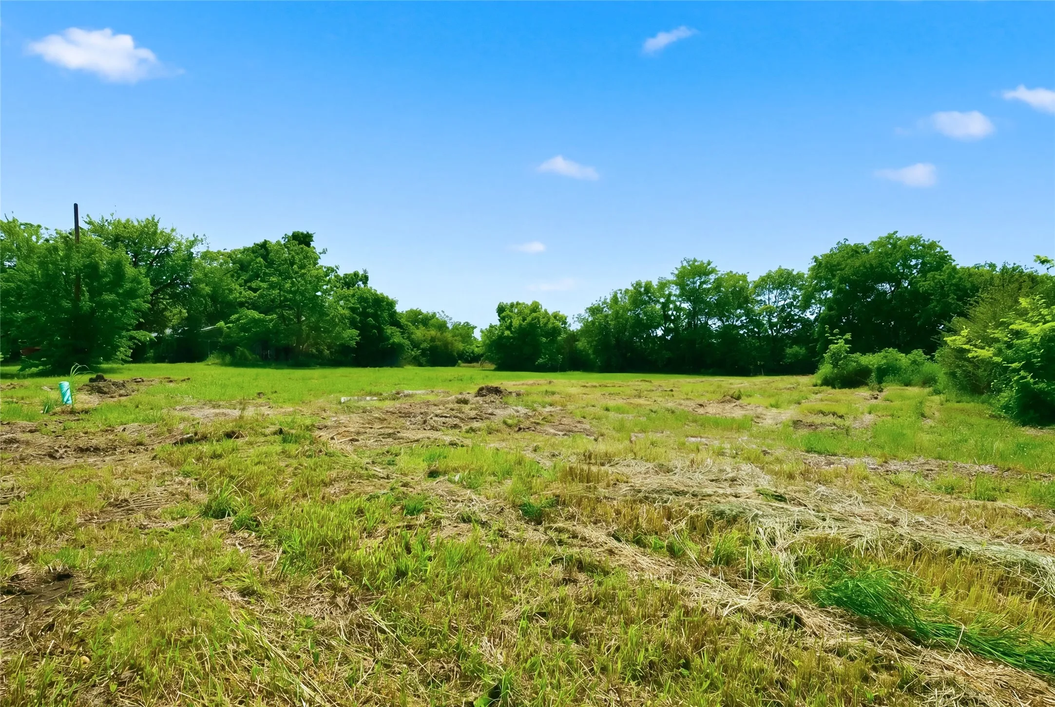 Unimproved Land For Sale in Hunt County , 204 S Grand Avenue, Wolfe City, Texas 75496, 0, 0, Garage spaces, 0 Sqft, built in 0, mls#21255177, Real Estate Agent in Wolfe City, Homes For Sale in Hunt county, Homes For Sale in Wolfe City, Realtor in Wolfe City Texas, Real Estate Brokerage Independent Realty Texas, Luminita Cordes Realtor