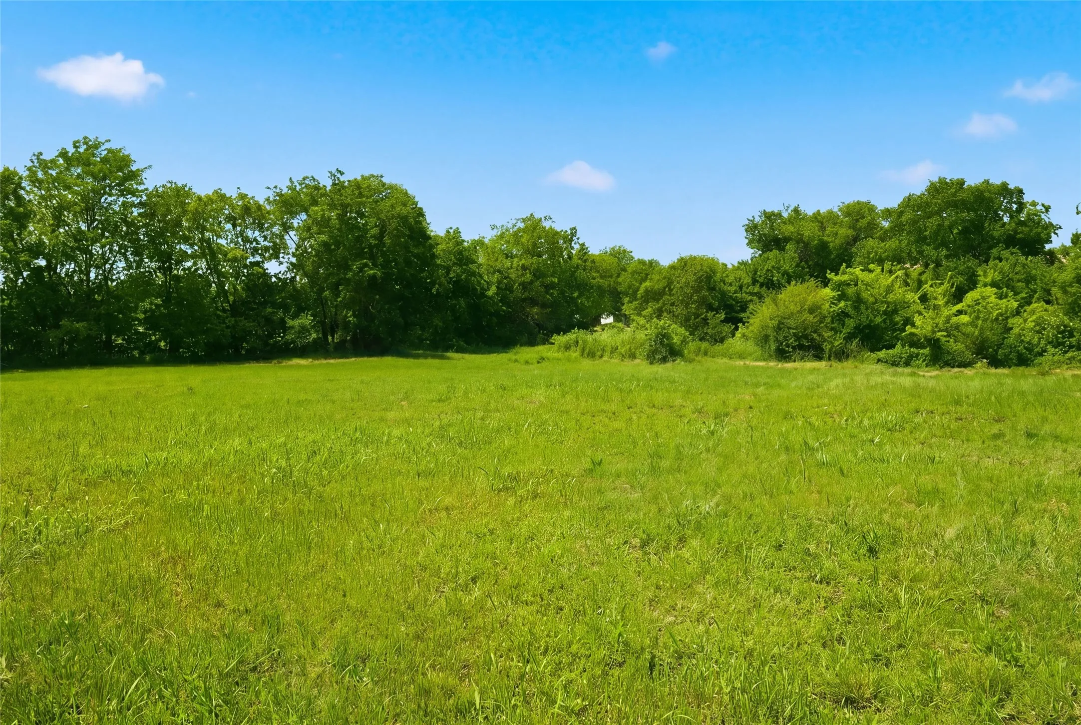 Unimproved Land For Sale in Hunt County , 204 S Grand Avenue, Wolfe City, Texas 75496, 0, 0, Garage spaces, 0 Sqft, built in 0, mls#21255177, Real Estate Agent in Wolfe City, Homes For Sale in Hunt county, Homes For Sale in Wolfe City, Realtor in Wolfe City Texas, Real Estate Brokerage Independent Realty Texas, Luminita Cordes Realtor