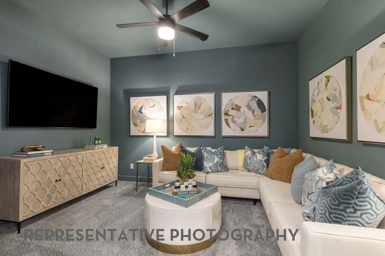 Entertainment Room