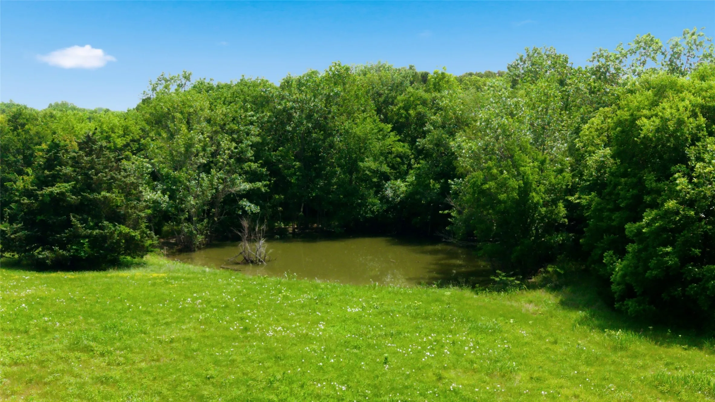 Unimproved Land For Sale in Hunt County , Lot 10 County Road 3401, Lone Oak, Texas 75453, 0, 0, Garage spaces, 0 Sqft, built in 0, mls#21255161, Real Estate Agent in Lone Oak, Homes For Sale in Hunt county, Homes For Sale in Lone Oak, Realtor in Lone Oak Texas, Real Estate Brokerage Independent Realty Texas, Luminita Cordes Realtor