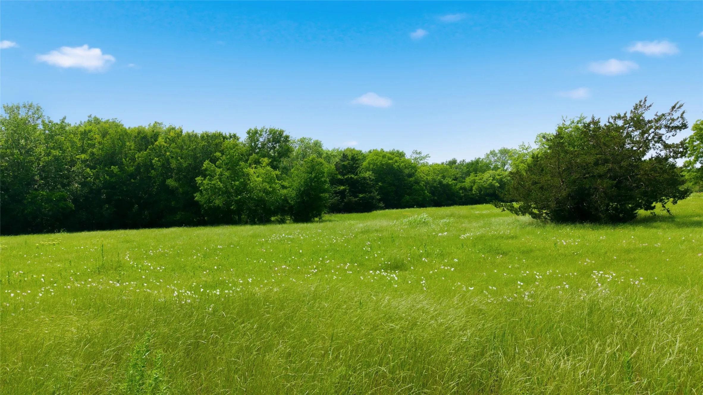 Unimproved Land For Sale in Hunt County , Lot 10 County Road 3401, Lone Oak, Texas 75453, 0, 0, Garage spaces, 0 Sqft, built in 0, mls#21255161, Real Estate Agent in Lone Oak, Homes For Sale in Hunt county, Homes For Sale in Lone Oak, Realtor in Lone Oak Texas, Real Estate Brokerage Independent Realty Texas, Luminita Cordes Realtor