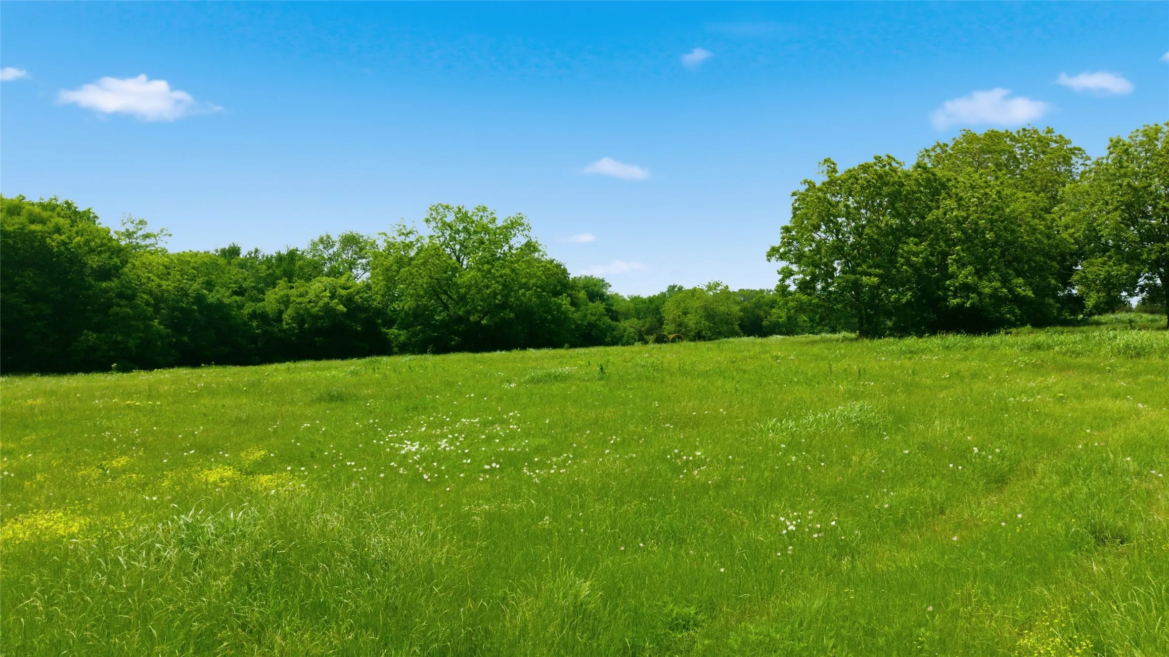 Unimproved Land For Sale in Hunt County , Lot 10 County Road 3401, Lone Oak, Texas 75453, 0, 0, Garage spaces, 0 Sqft, built in 0, mls#21255161, Real Estate Agent in Lone Oak, Homes For Sale in Hunt county, Homes For Sale in Lone Oak, Realtor in Lone Oak Texas, Real Estate Brokerage Independent Realty Texas, Luminita Cordes Realtor