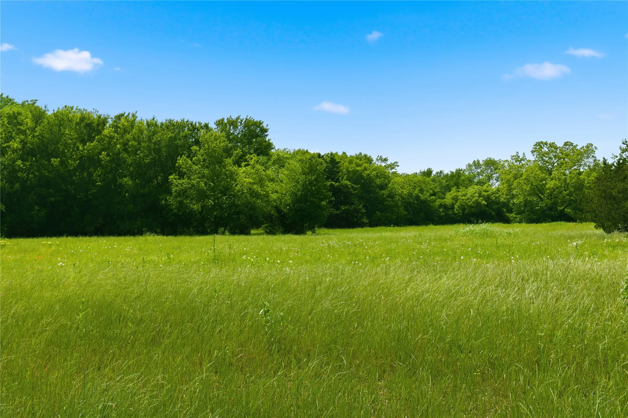 Unimproved Land For Sale in Hunt County , Lot 10 County Road 3401, Lone Oak, Texas 75453, 0, 0, Garage spaces, 0 Sqft, built in 0, mls#21255161, Real Estate Agent in Lone Oak, Homes For Sale in Hunt county, Homes For Sale in Lone Oak, Realtor in Lone Oak Texas, Real Estate Brokerage Independent Realty Texas, Luminita Cordes Realtor