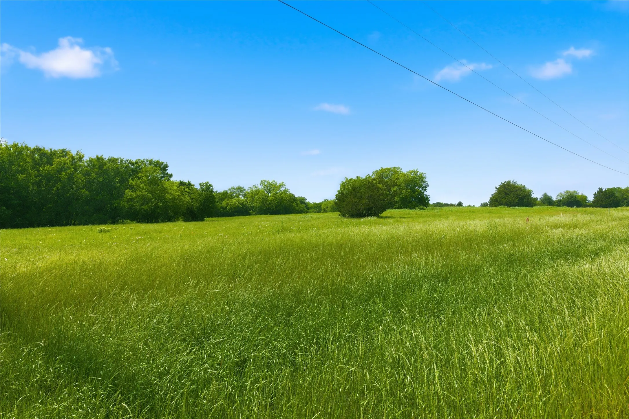 Unimproved Land For Sale in Hunt County , Lot 10 County Road 3401, Lone Oak, Texas 75453, 0, 0, Garage spaces, 0 Sqft, built in 0, mls#21255161, Real Estate Agent in Lone Oak, Homes For Sale in Hunt county, Homes For Sale in Lone Oak, Realtor in Lone Oak Texas, Real Estate Brokerage Independent Realty Texas, Luminita Cordes Realtor