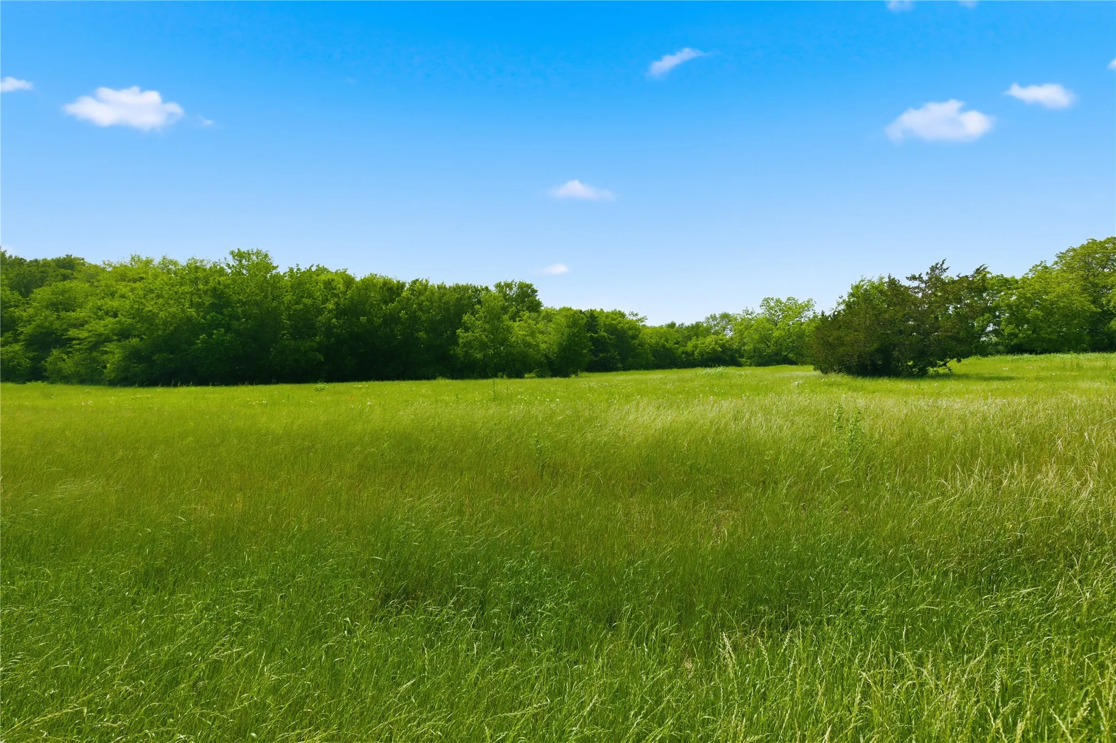 Unimproved Land For Sale in Hunt County , Lot 10 County Road 3401, Lone Oak, Texas 75453, 0, 0, Garage spaces, 0 Sqft, built in 0, mls#21255161, Real Estate Agent in Lone Oak, Homes For Sale in Hunt county, Homes For Sale in Lone Oak, Realtor in Lone Oak Texas, Real Estate Brokerage Independent Realty Texas, Luminita Cordes Realtor